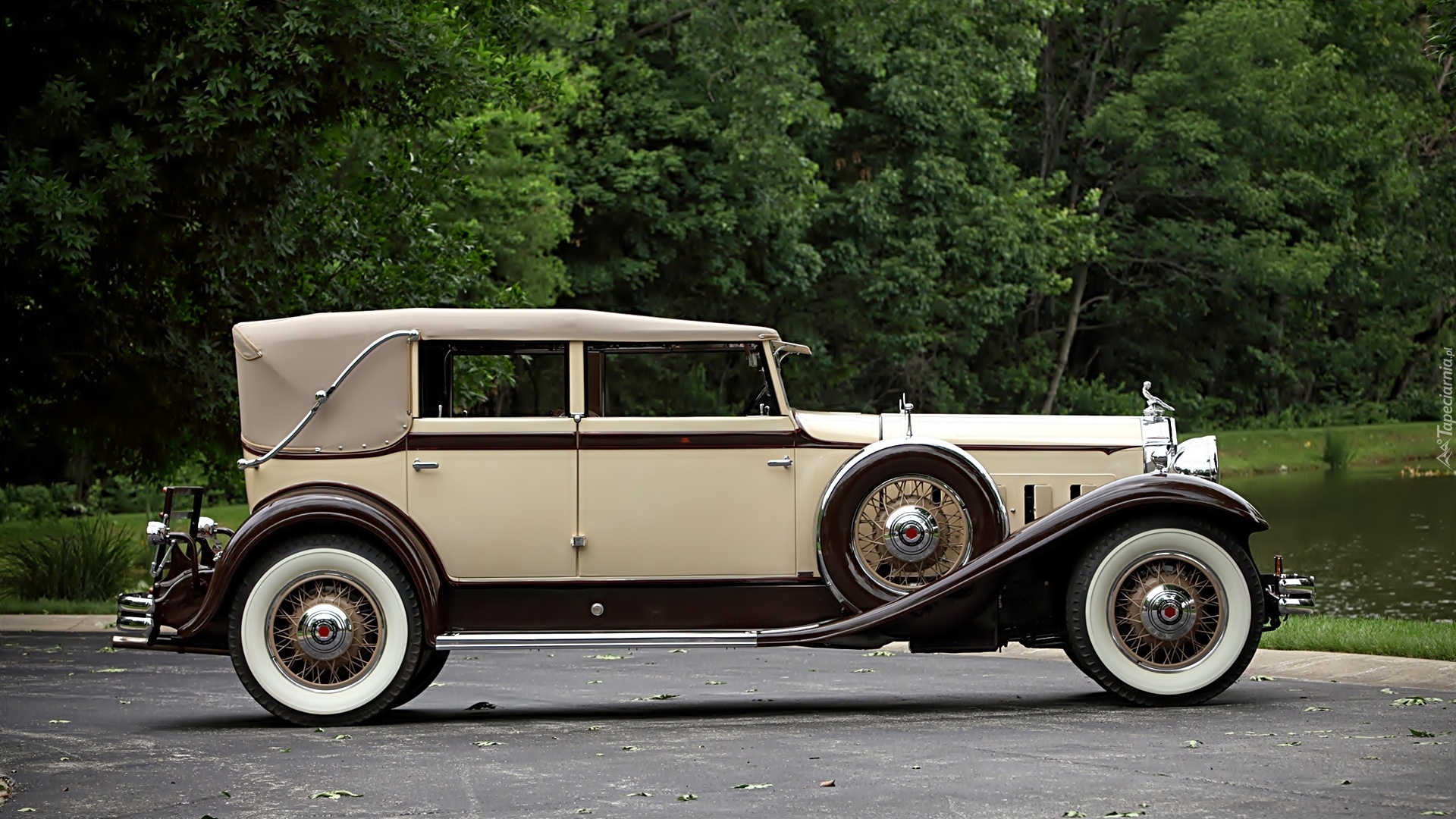 Samochód, Zabytkowy, Packard, 1931