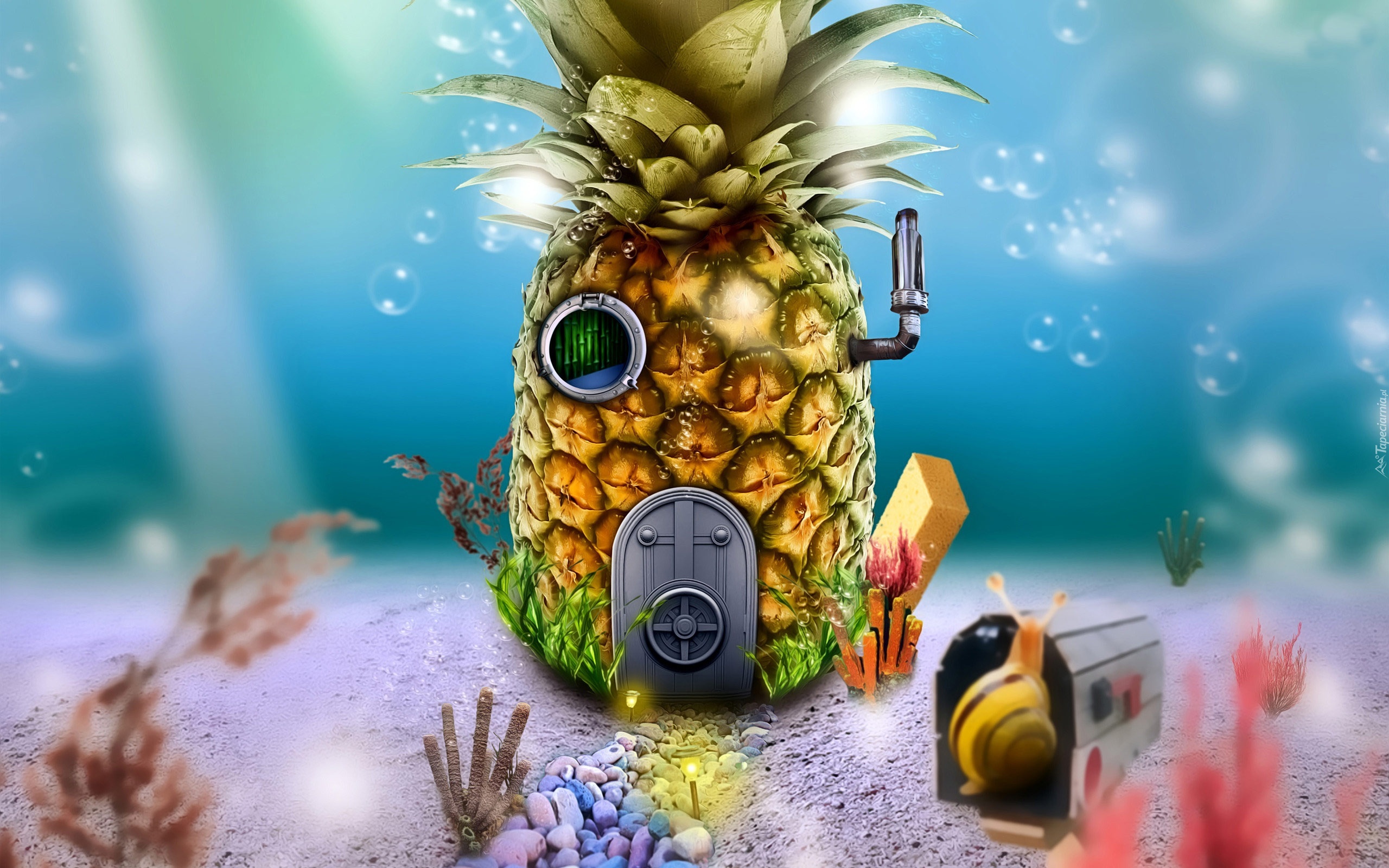 Ananas, Dom, 3D