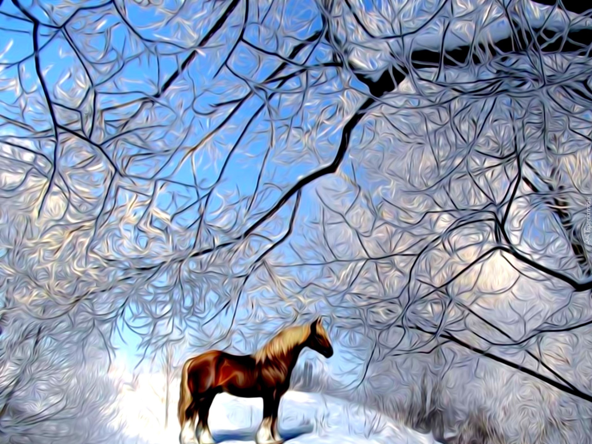 Koń, Zima, Drzewa, Grafika, Komputerowa