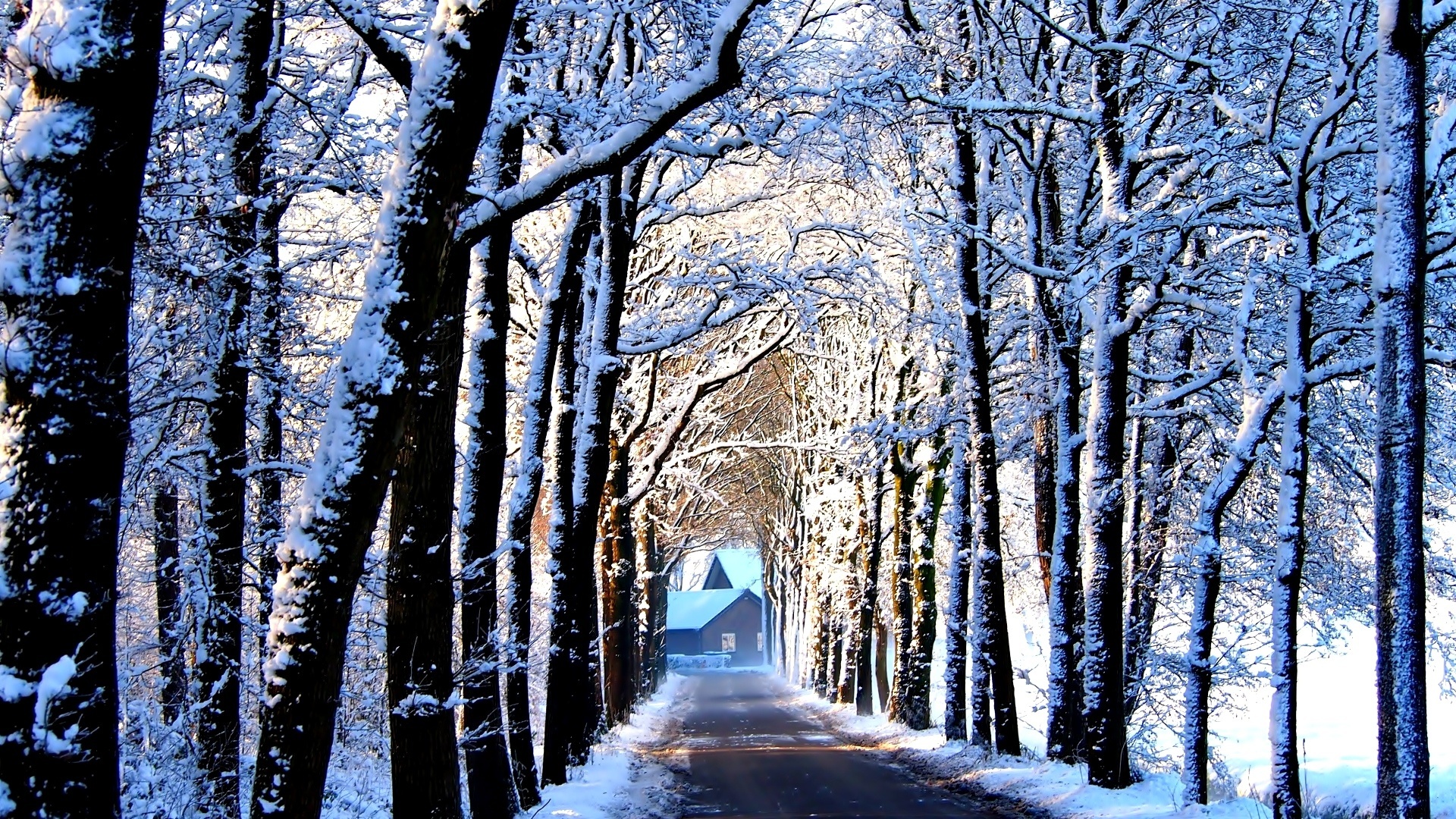 Zima, Śnieg, Droga, Drzewa, Dom