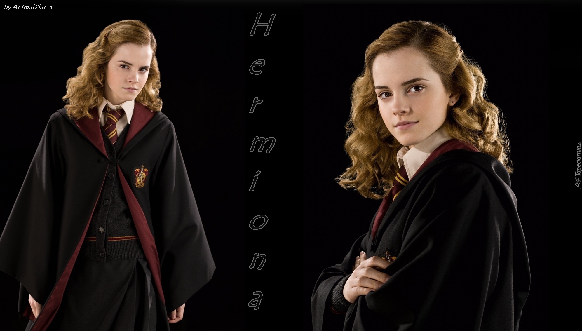 Harry, Potter, Hermiona, Aktorka, Kobieta, Emma, Watson