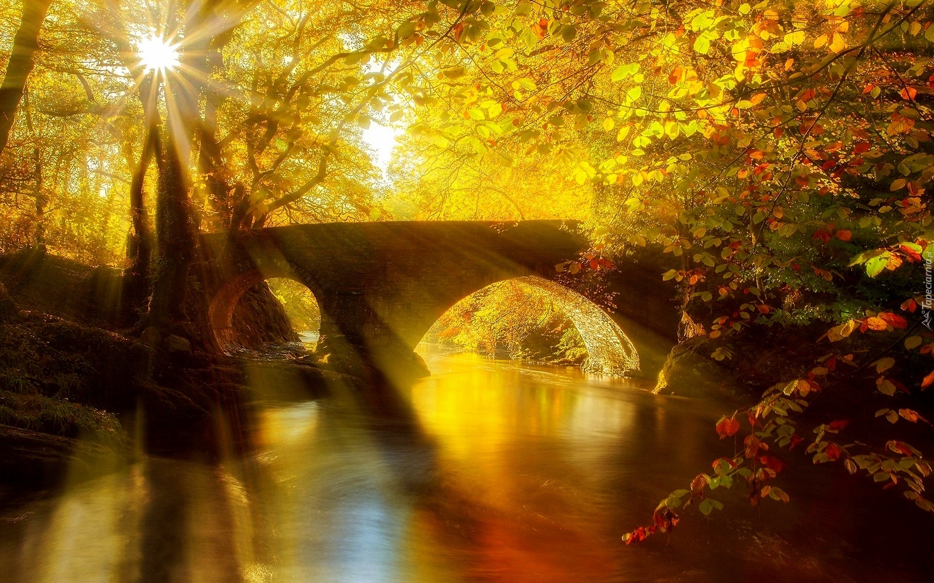 Rzeka, Most, Przebijające, Światło, Jesień