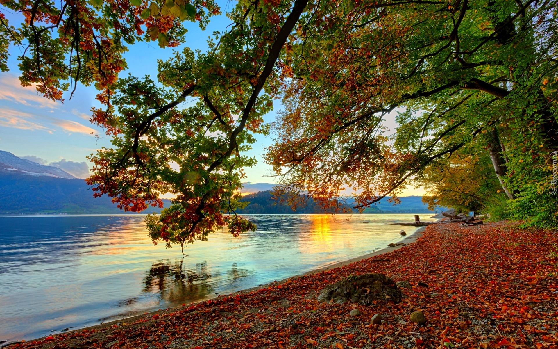 Jezioro, Wschód, Słońca, Drzewo, Jesień