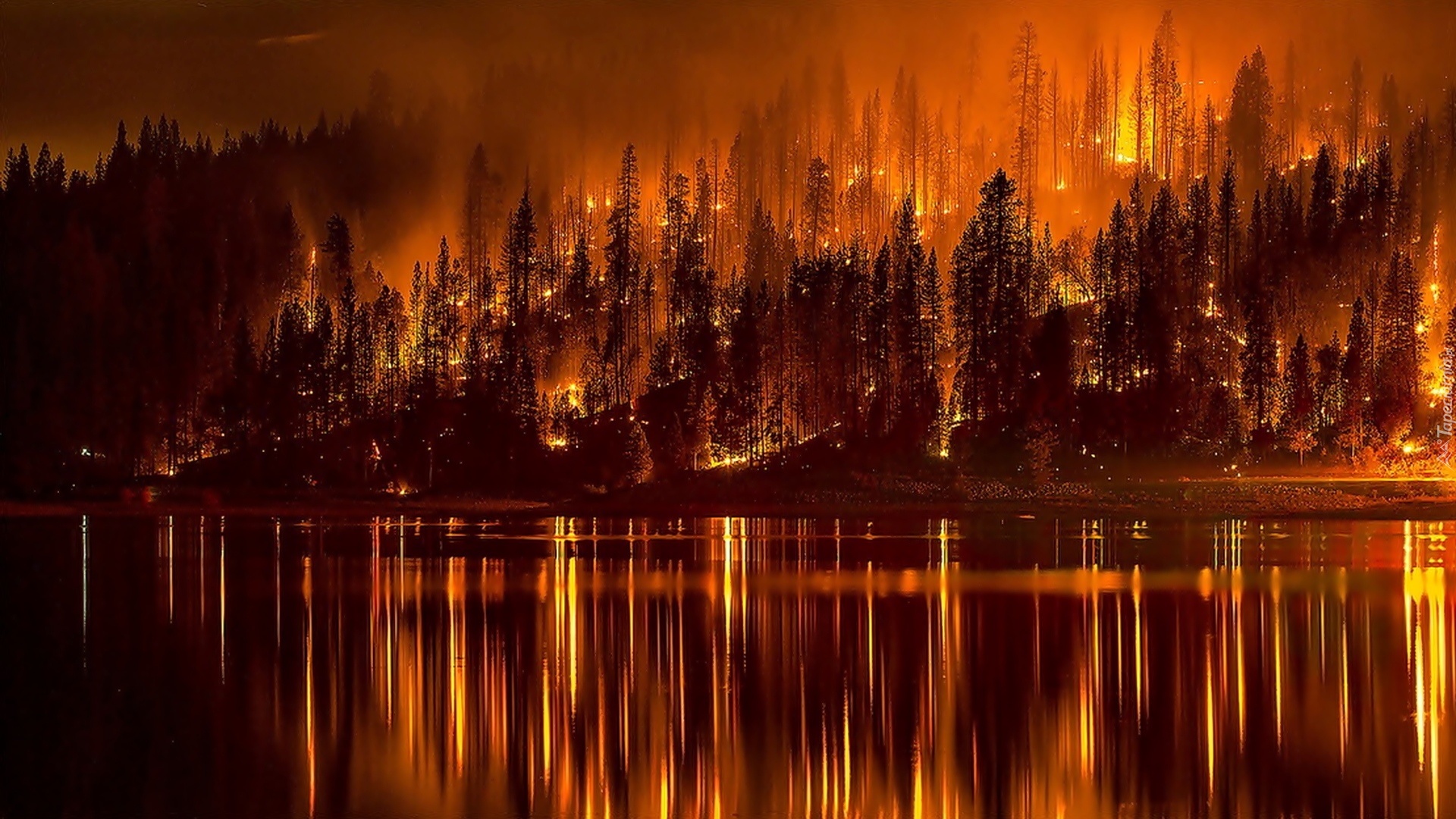 Las, Ogień, Pożar, Woda,  Odbicie