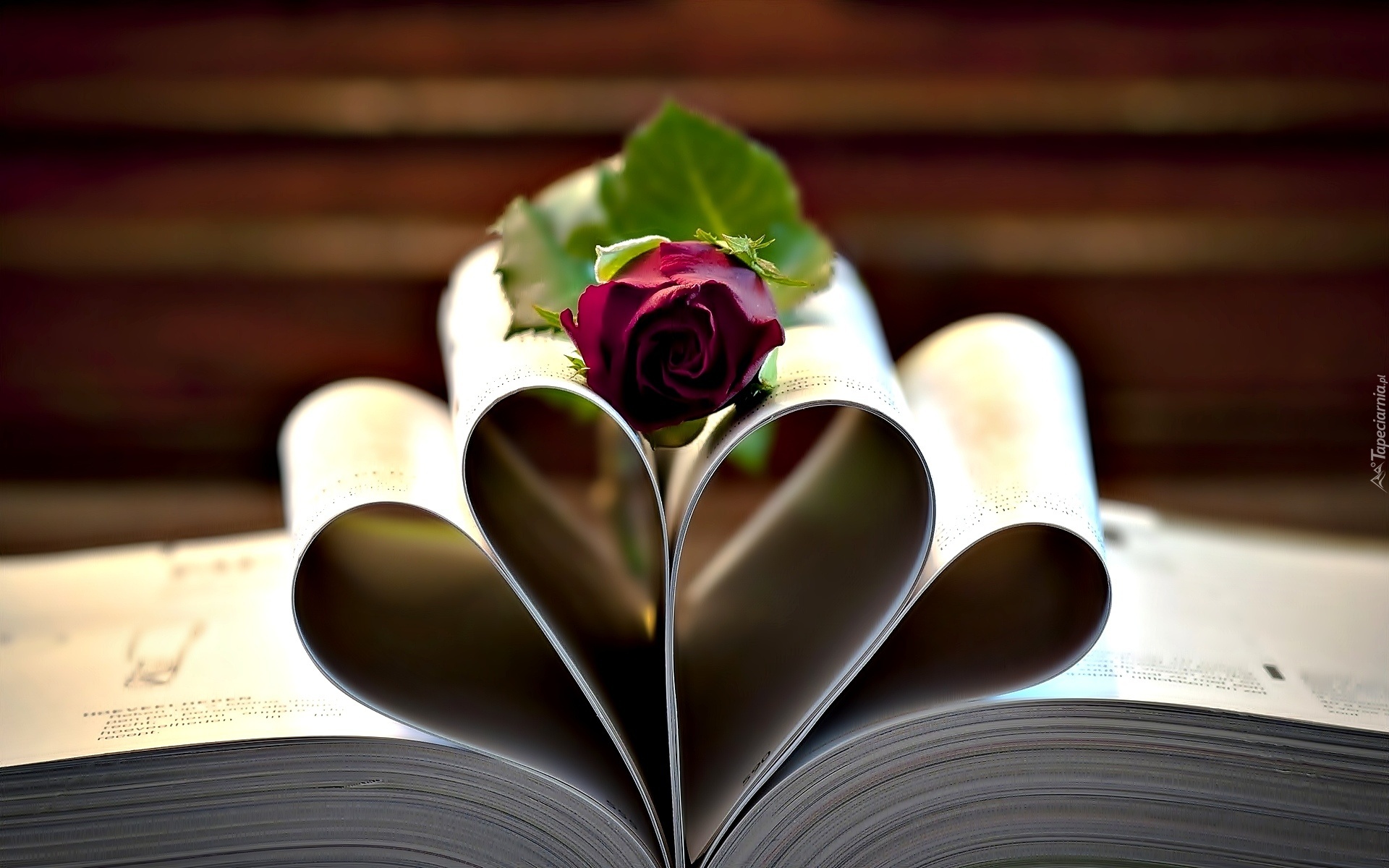 Książka, Kartki, Róża, Walentynki, Miłosne