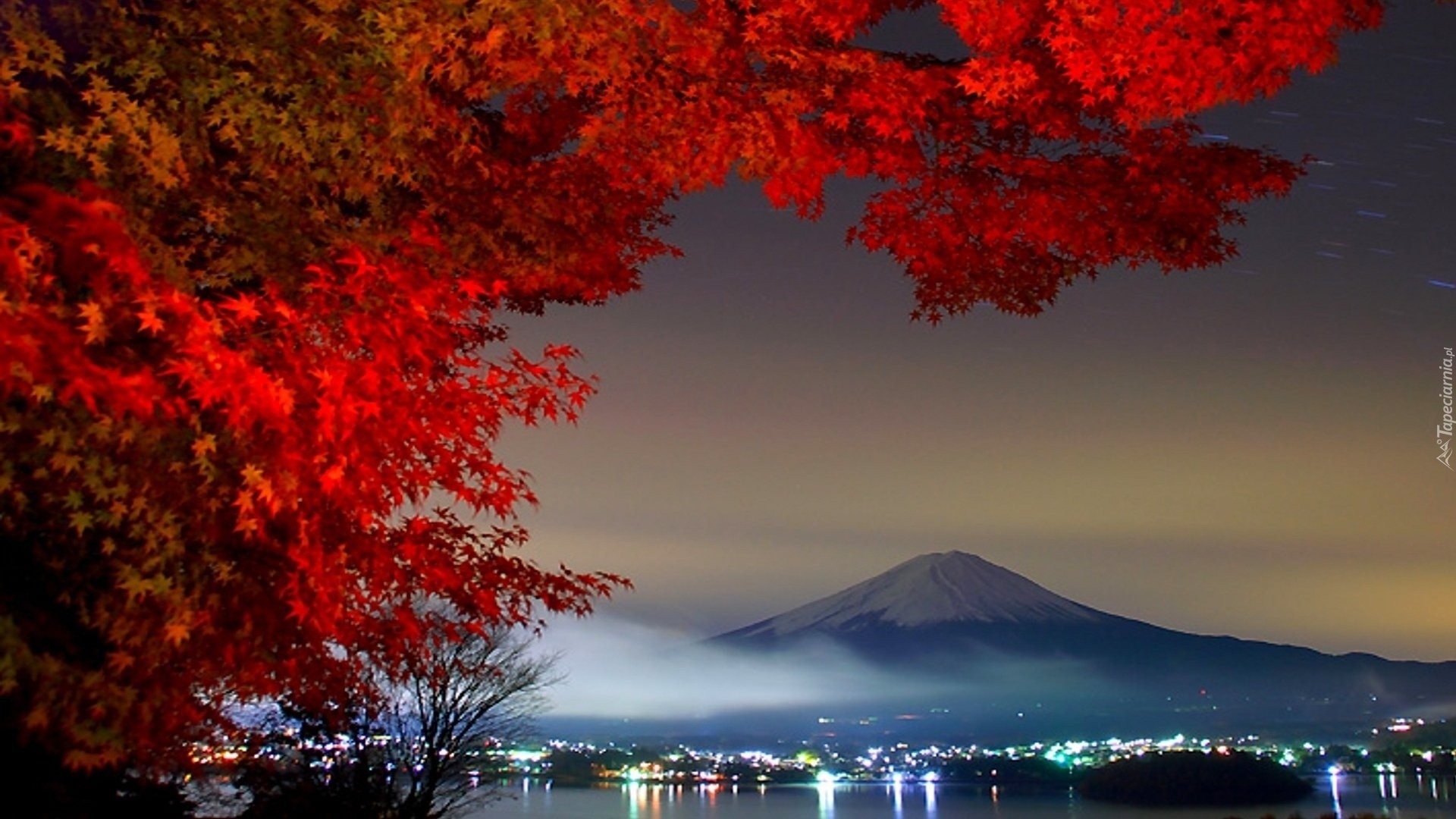 Japonia, Wulkan Fudżi, Oświetlone Miasto, Natura, Drzewo