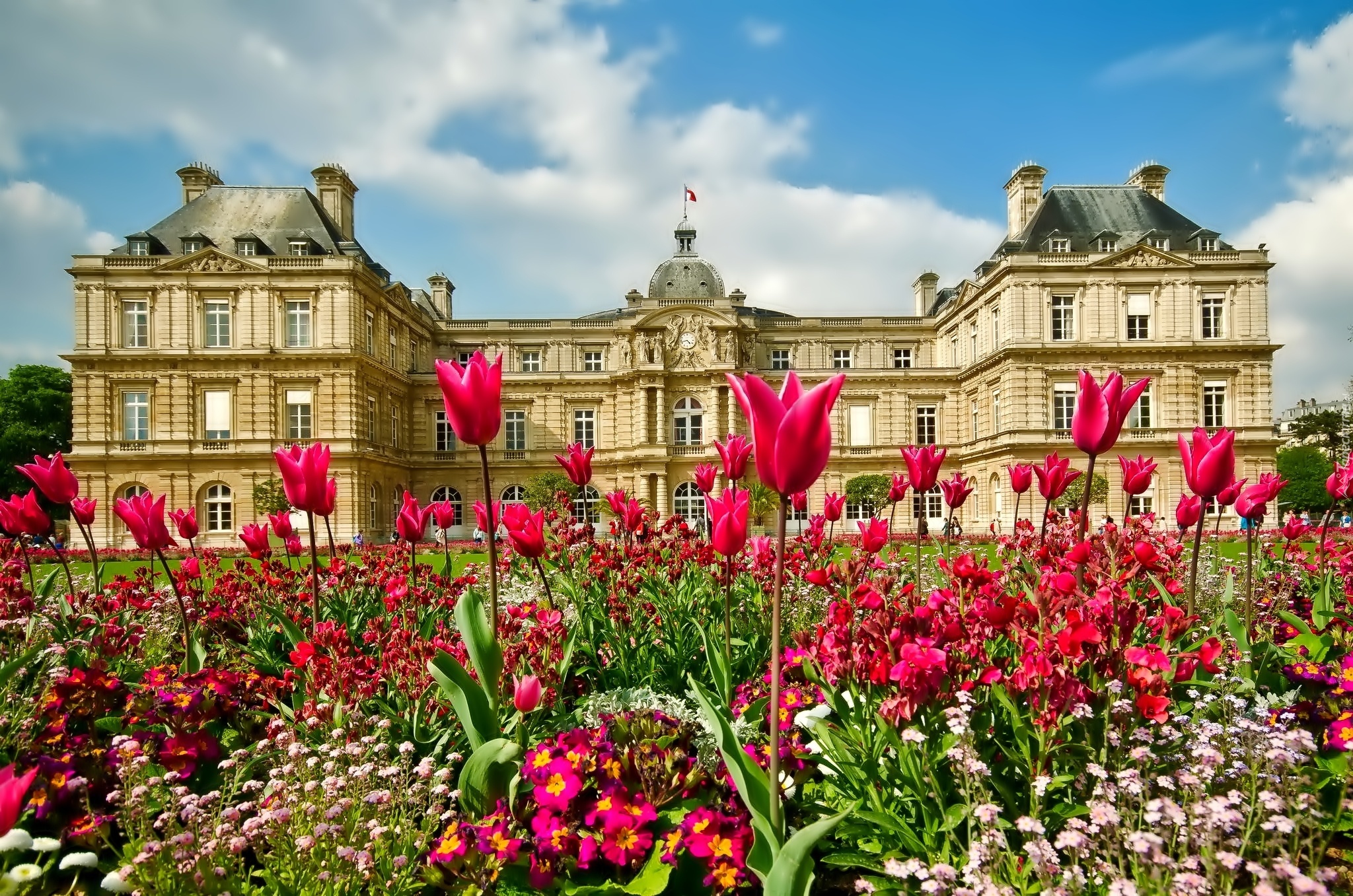 Pałac, Luksemburski, Ogród, Kwiaty, Paryż