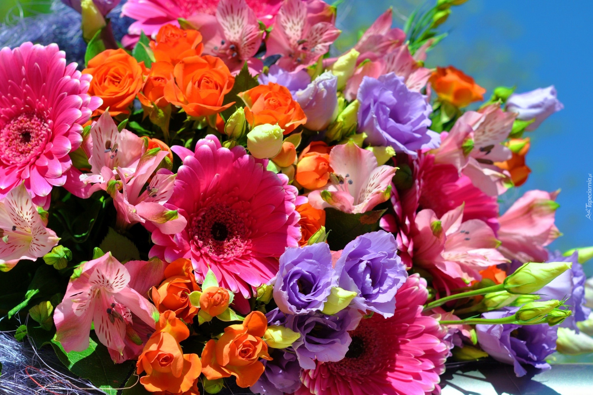 Kwiaty, Bukiet, Kolorowe