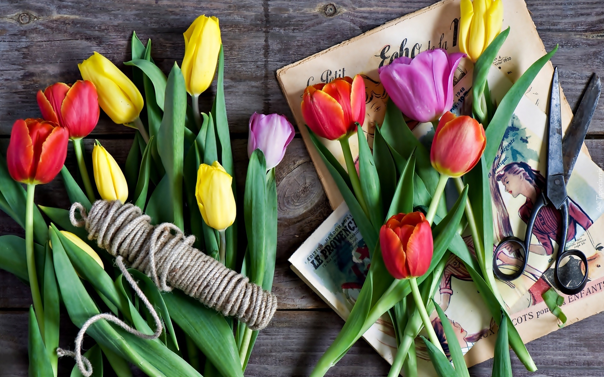Kwiaty, Tulipany, Nożyce, Sznurek, Gazeta