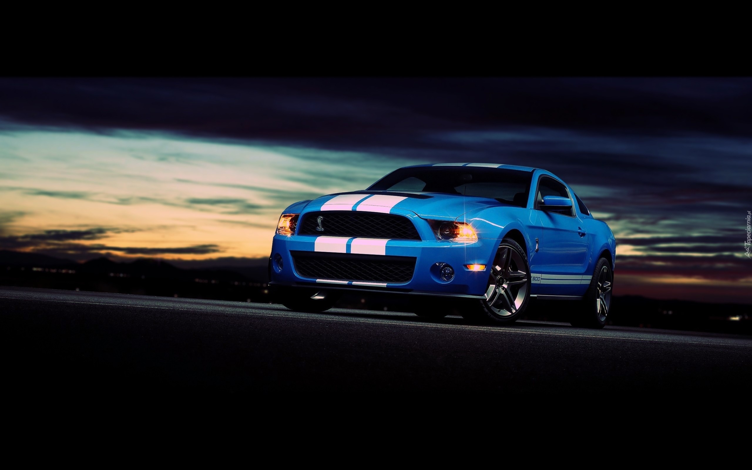 Ford, Mustang, Shelby, Gt500