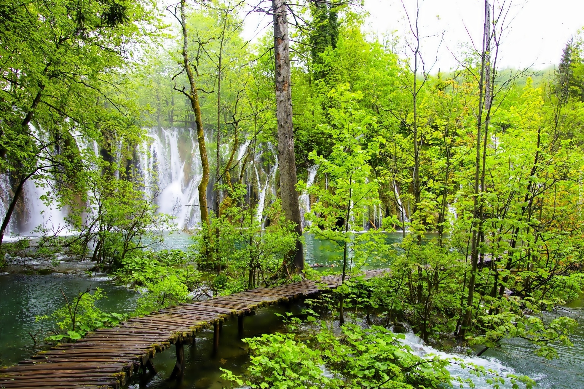 Wodospad, Las, Pomost, Plitvice, Chorwacja