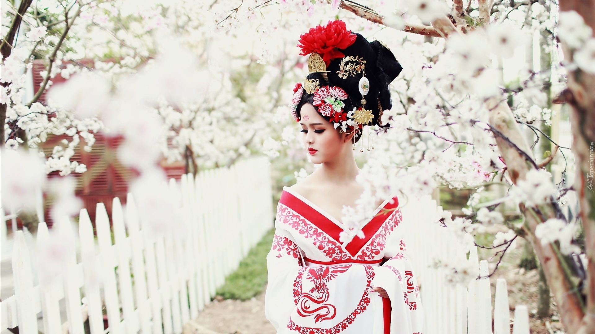 Kobieta, Kimono, Wiosna, Moda