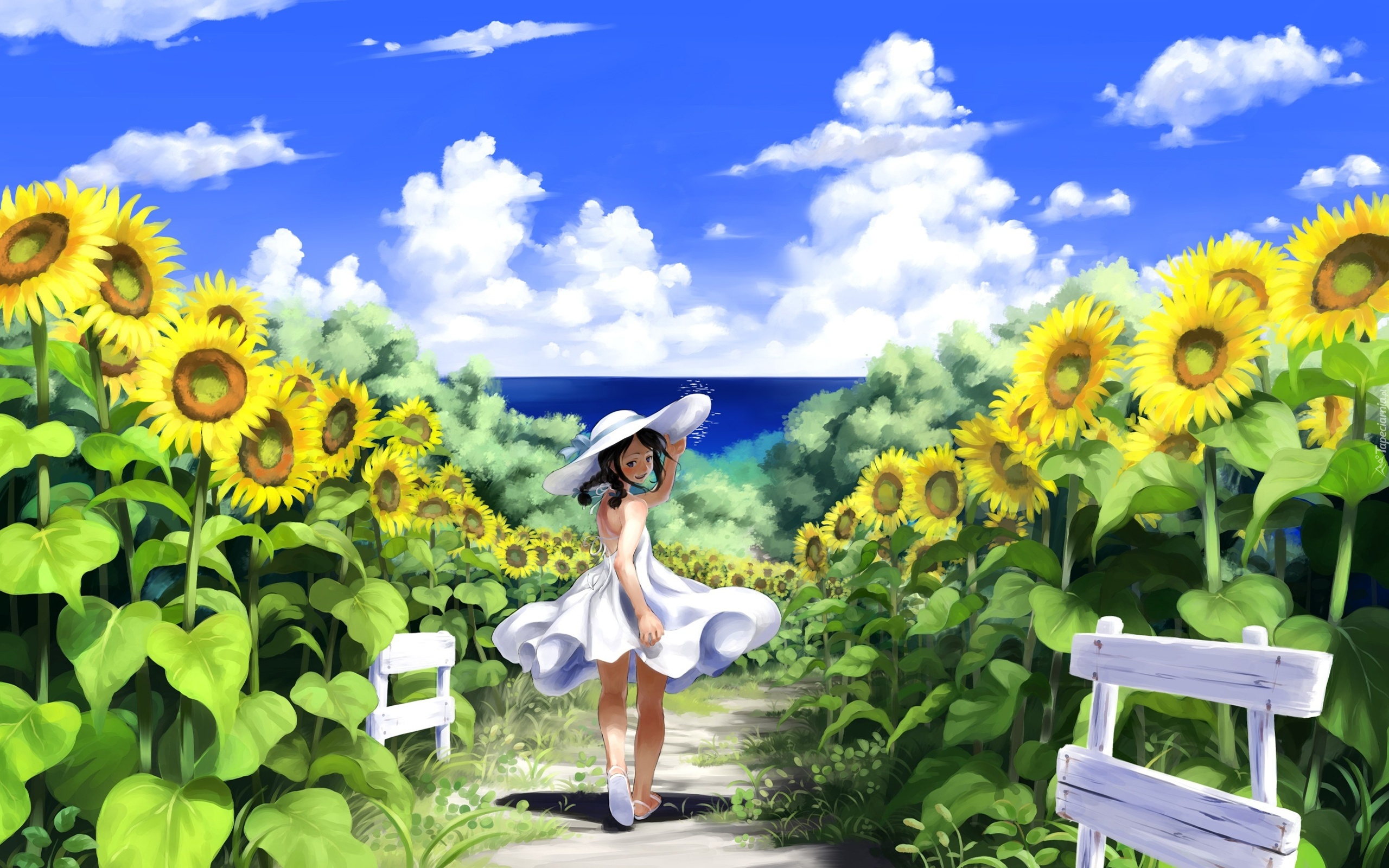 Lato, Dziewczynka, Pole, Słoneczniki, Manga Anime