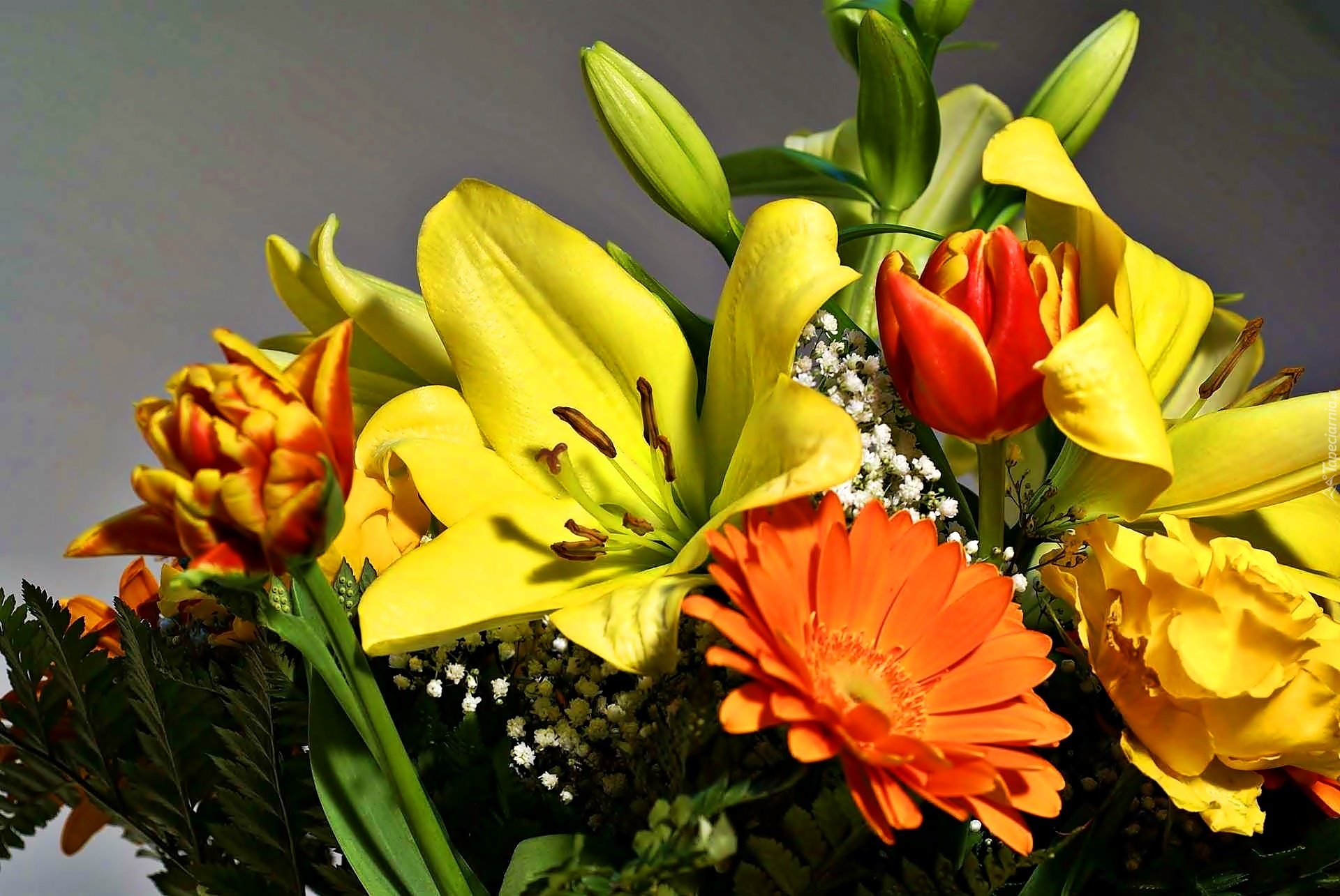 Bukiet, Kwiatów, Lilie, Tulipany, Gerbery
