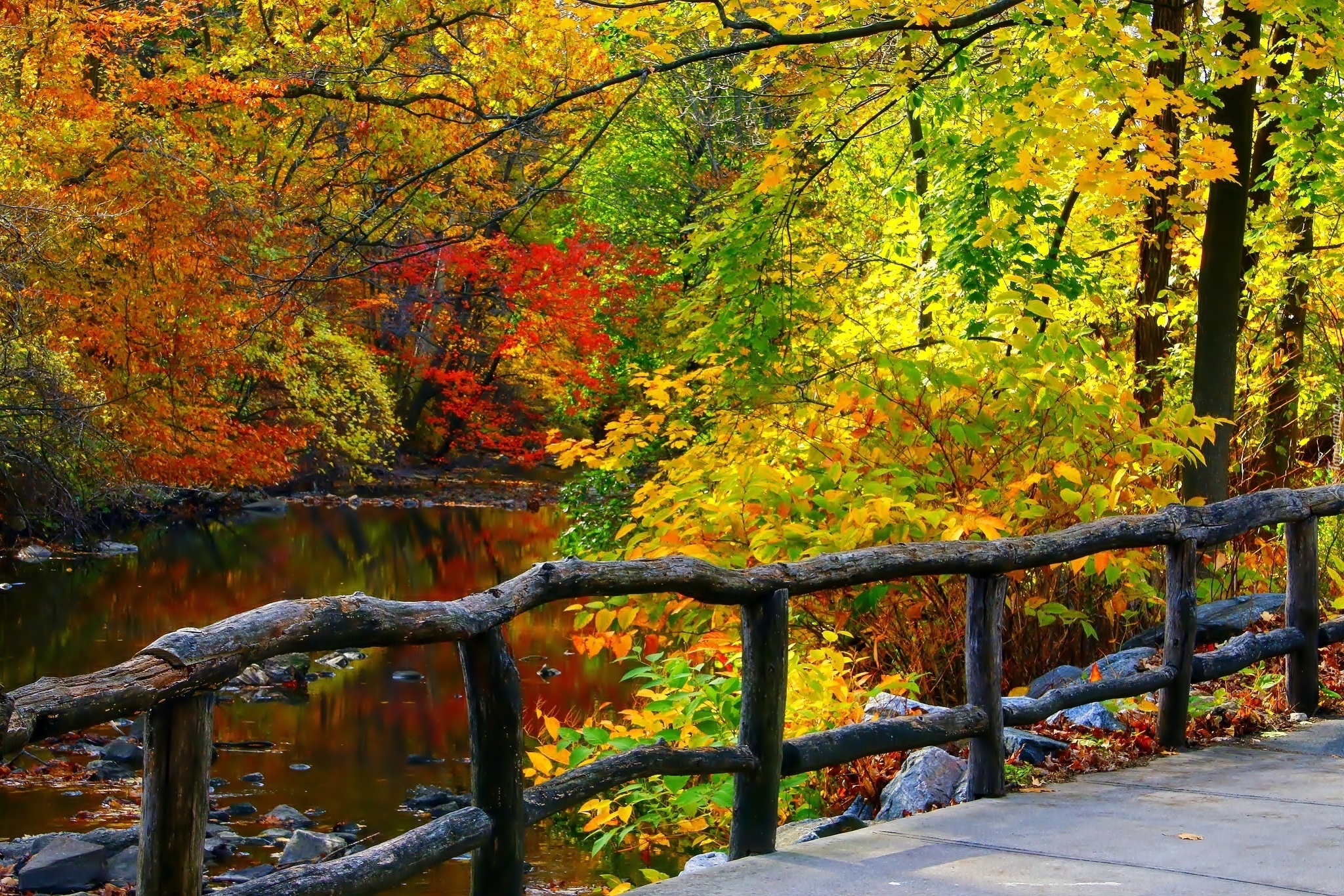 Jesień, Rzeka, Drzewa, Ogrodzenie, Park
