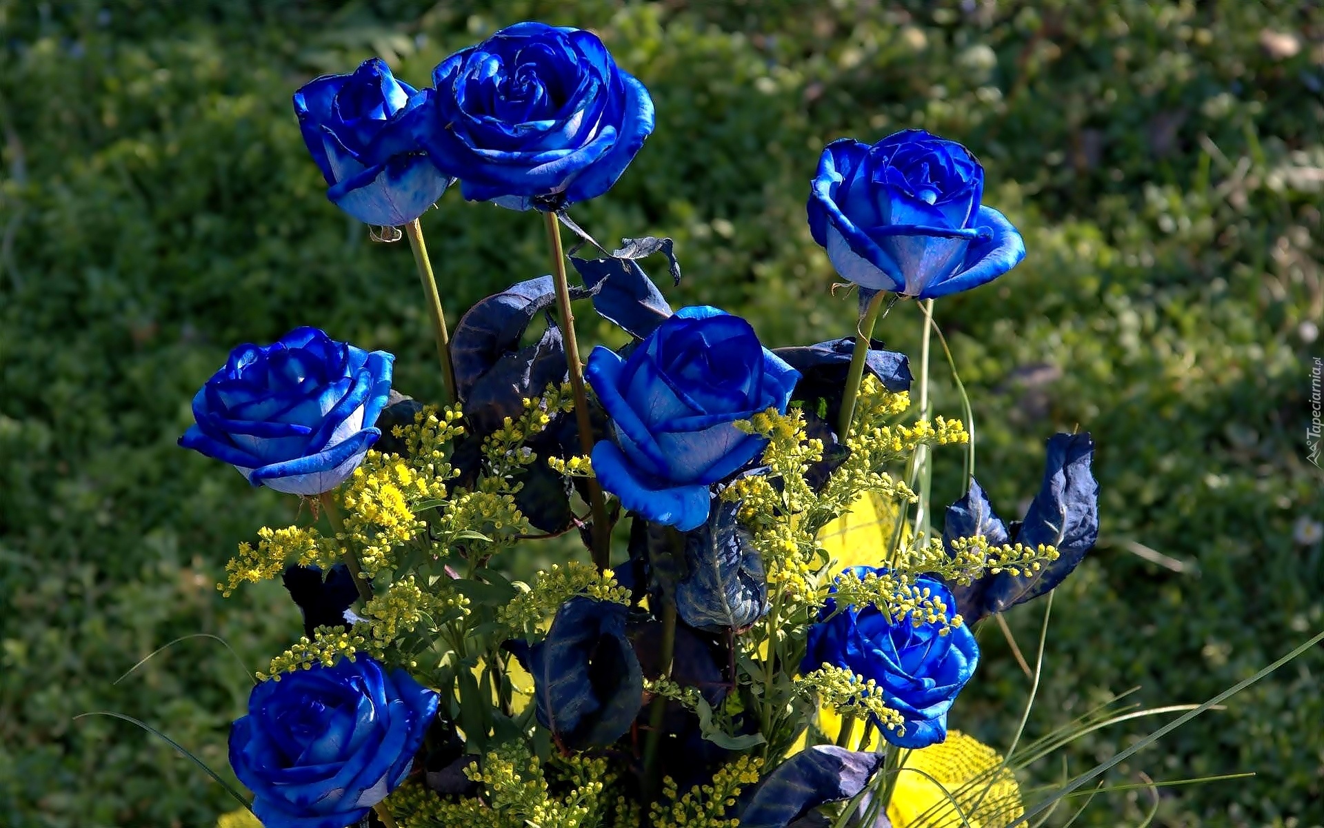 Bukiet, Niebieskie, Róże, Żółte, Kwiaty