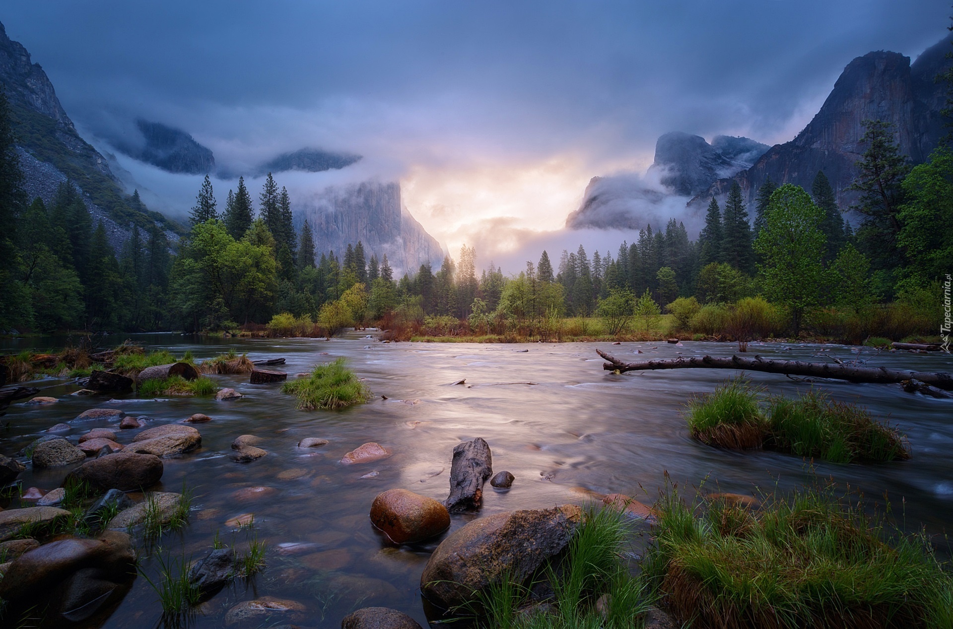 Stany Zjednoczone, Stan Kalifornia, Park Narodowy Yosemite, Góry, Lasy, Wiosna
