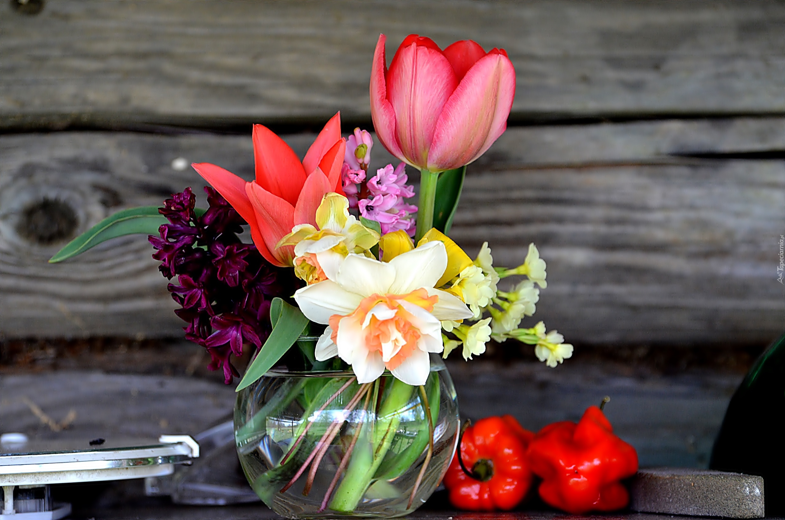 Bukiet, Kwiatów, Tulipany, Papryka