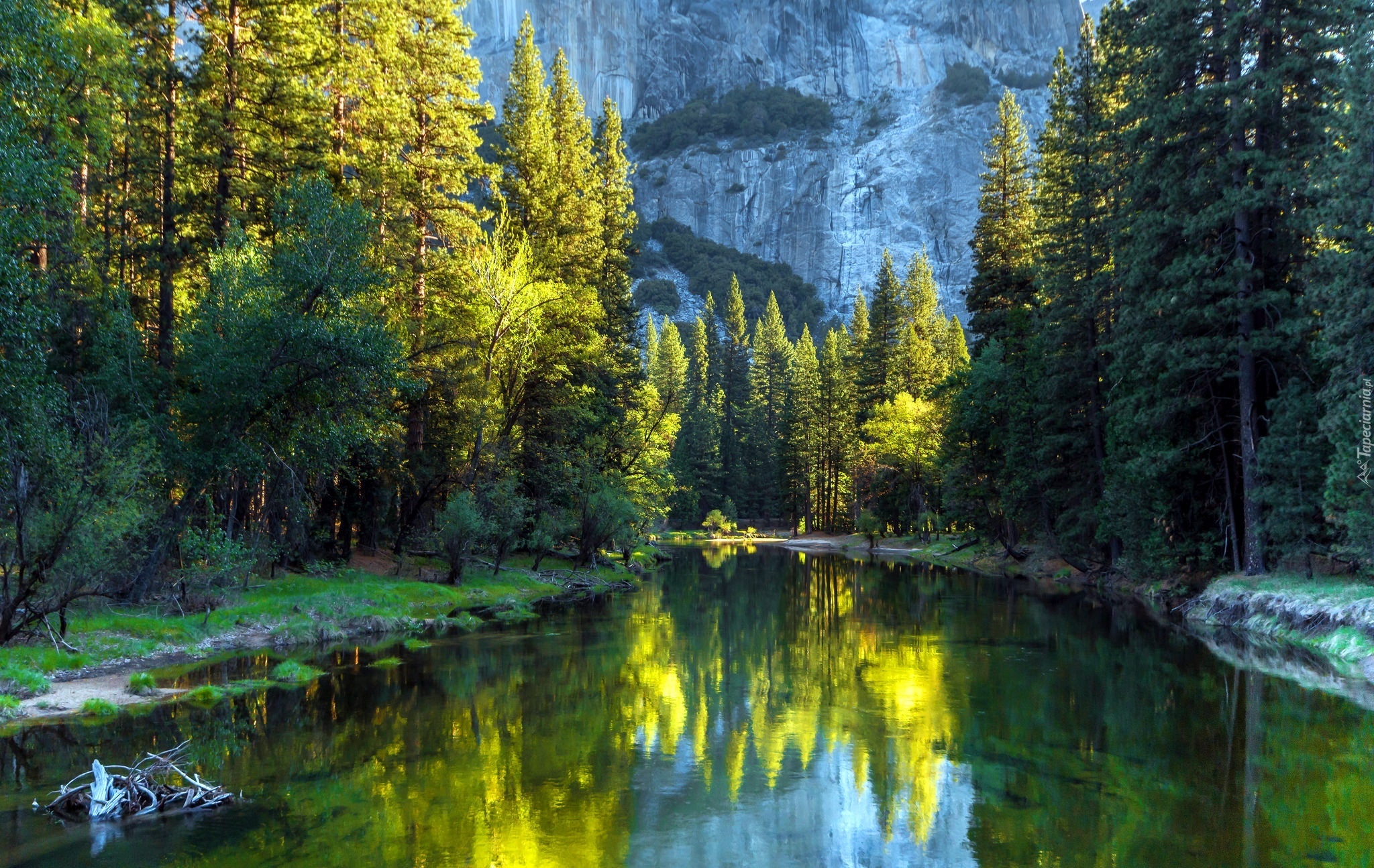 Stany Zjednoczone, Stan Kalifornia, Park Narodowy Yosemite, Góry, Lasy, Rzeka