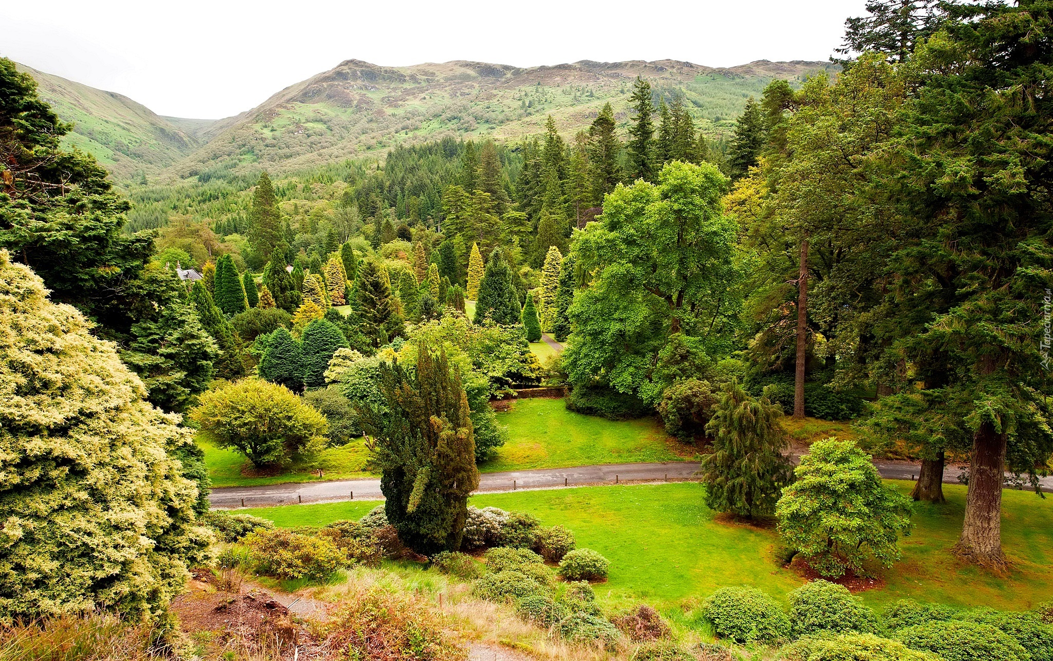 Szkocja, Benmore, Ogród Botaniczny, Argyll, Góry