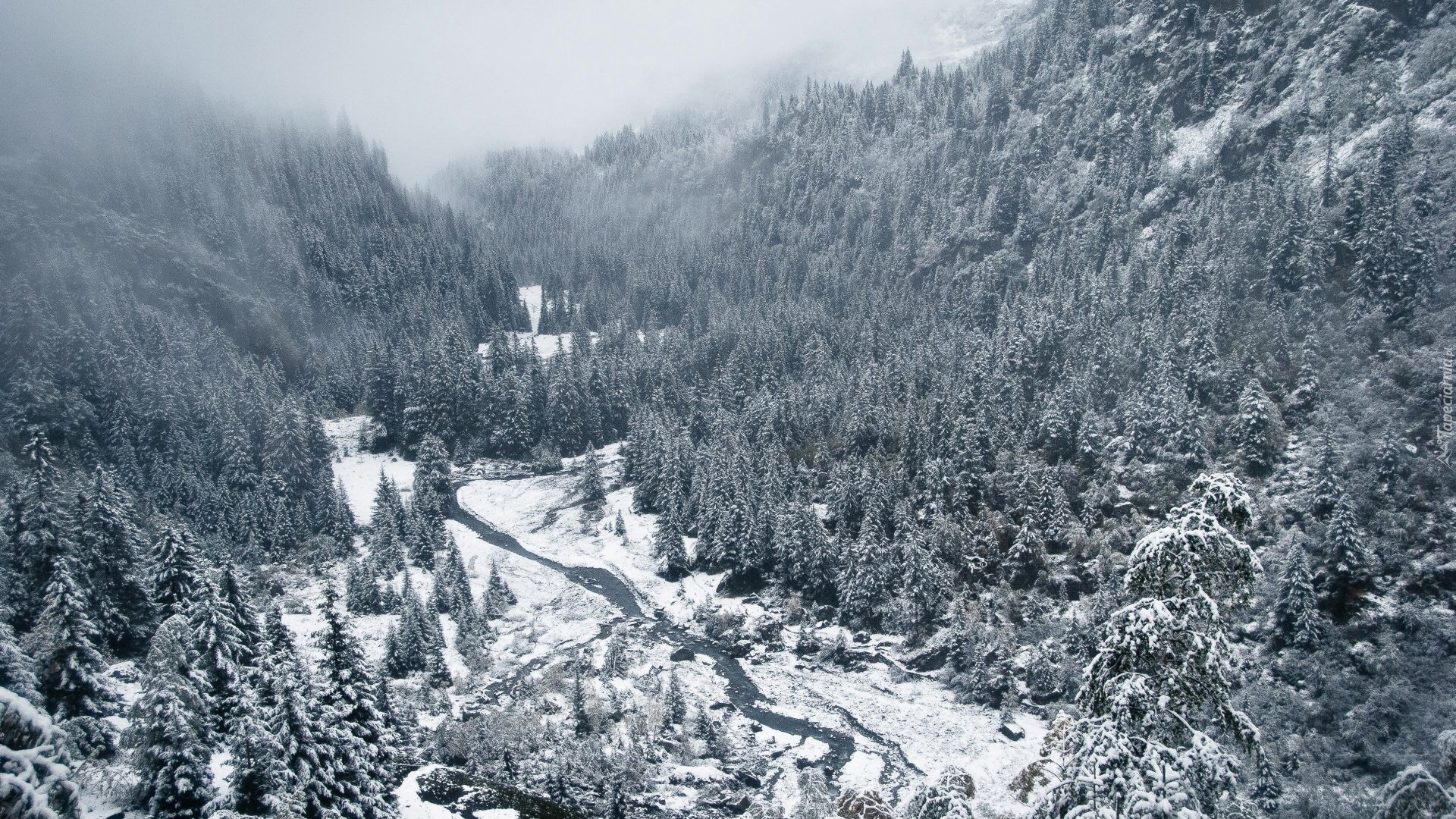 Dolina, Zima, Drzewa, Śnieg