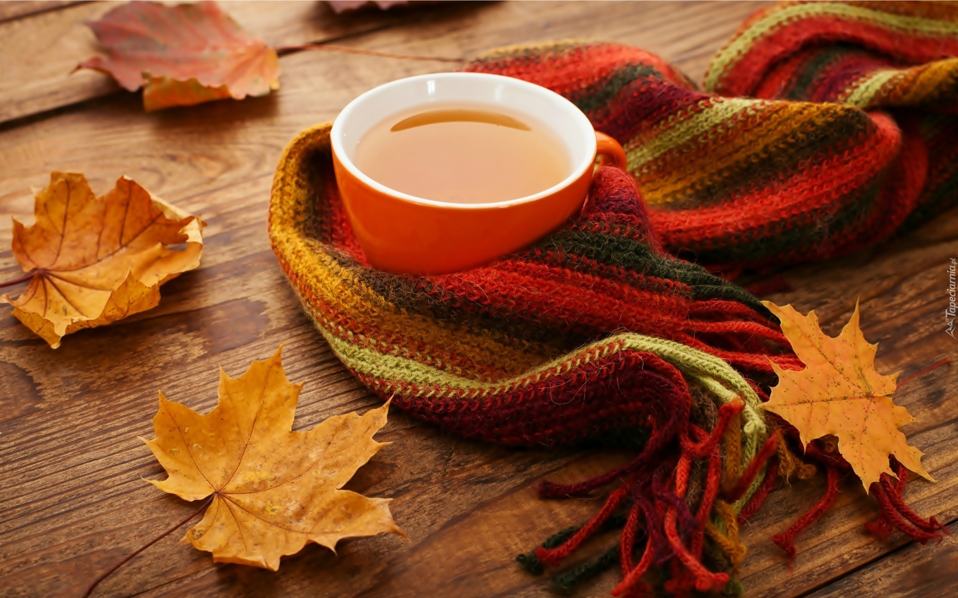 Znalezione obrazy dla zapytania jesień herbata