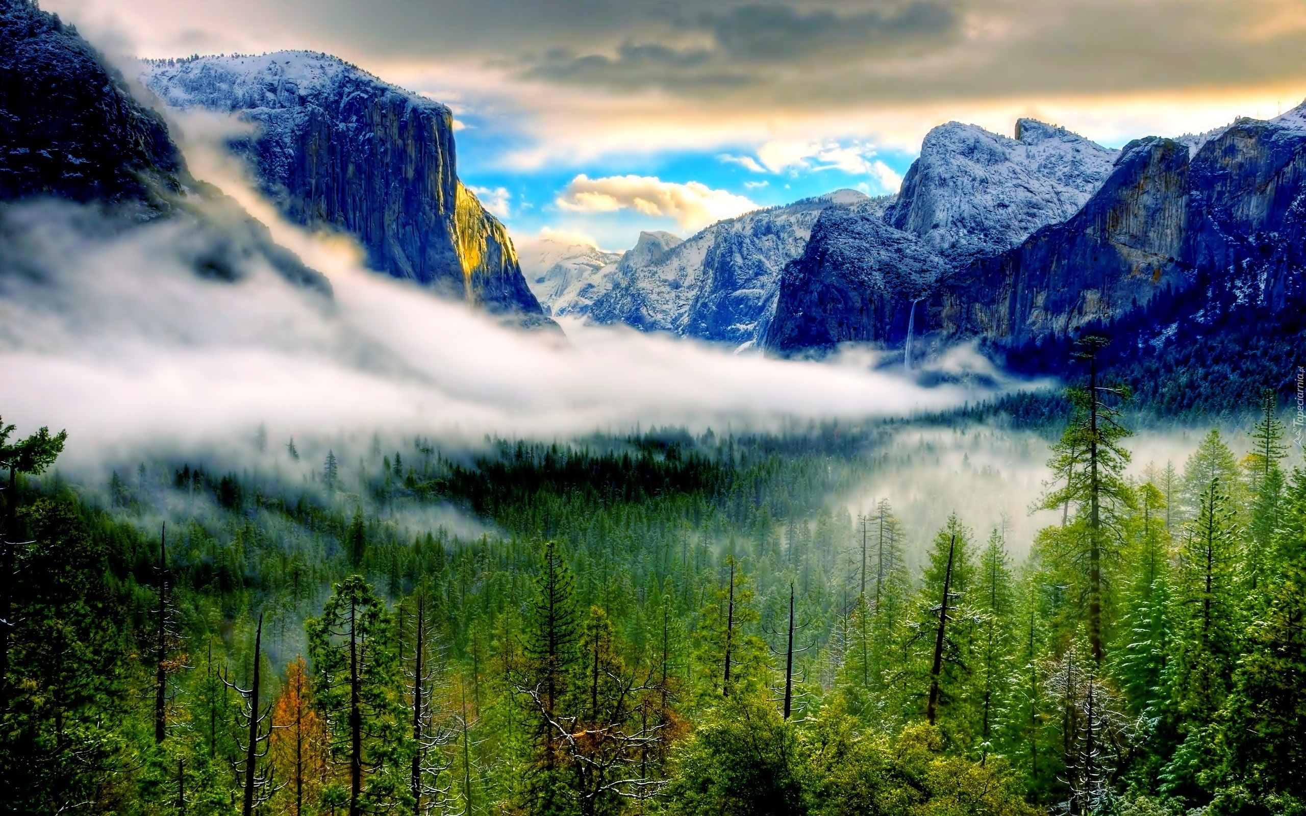 Stany Zjednoczone, Stan Kalifornia, Park Narodowy Yosemite, Góry, Drzewa, Mgła
