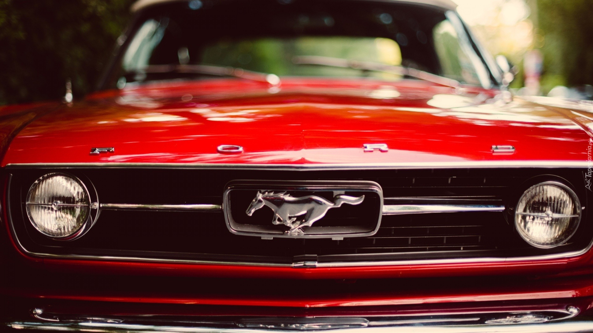 Czerwony, Ford, Mustang, Rozmycie
