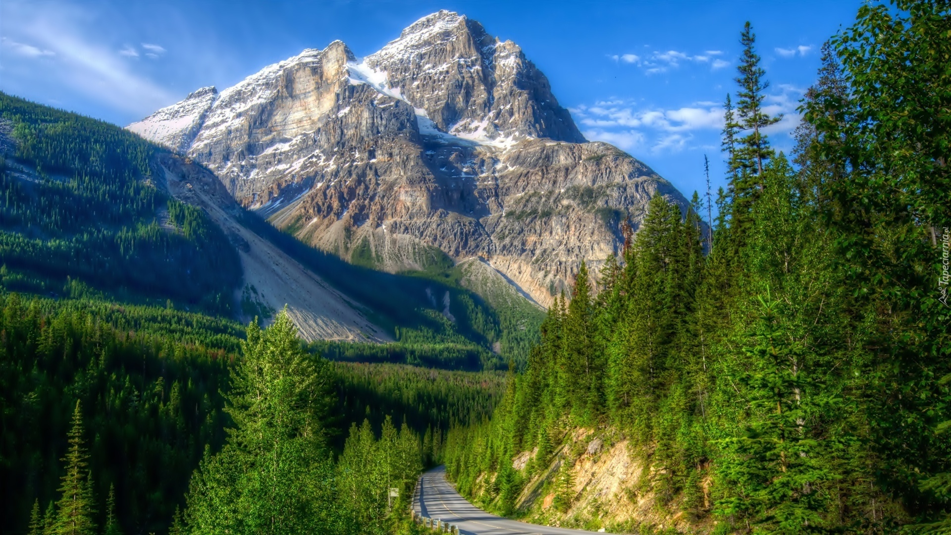 Góry, Las, Droga, Kanada