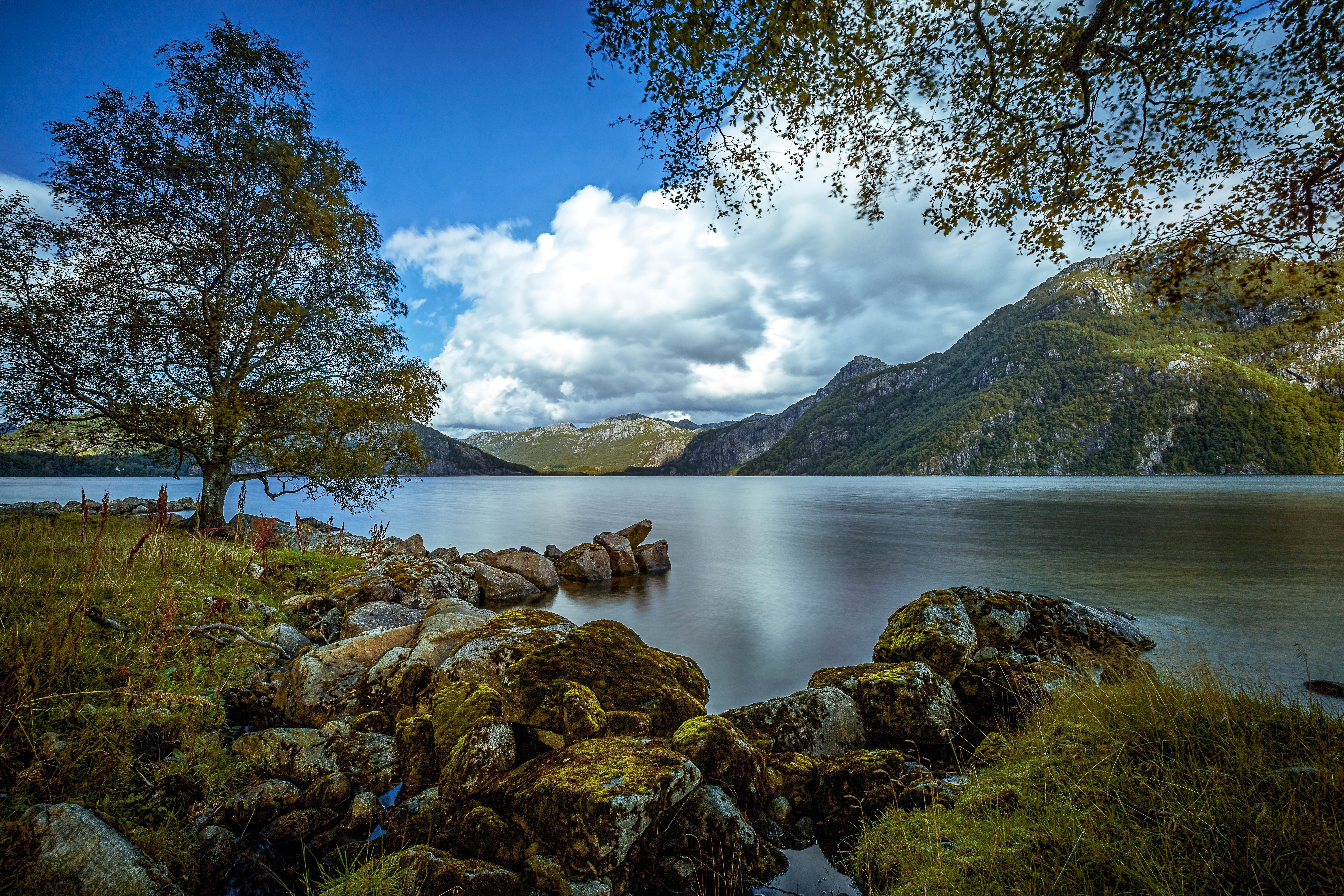Norwegia, Jezioro, Góry, Kamienie, Drzewa