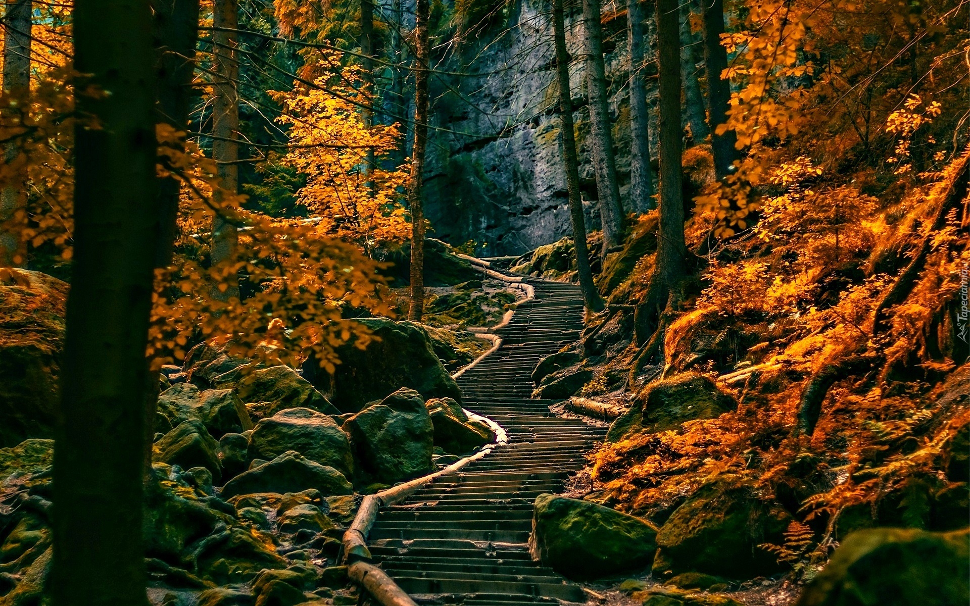 Las, Ścieżka, Skały, Jesień