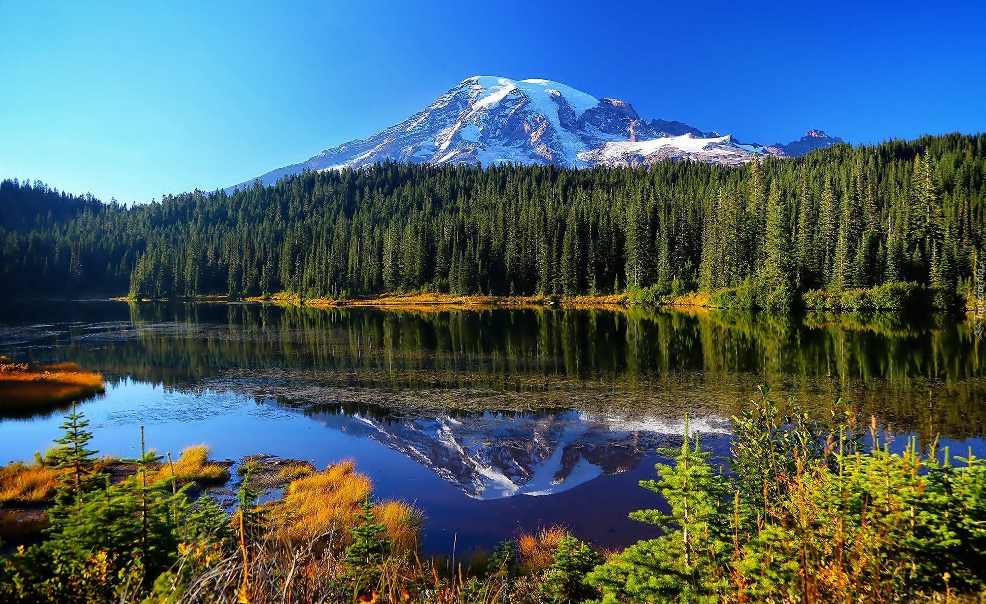 Stany Zjednoczone, Stan Waszyngton, Park Narodowy Mount Rainier, Góry, Las, Jezioro