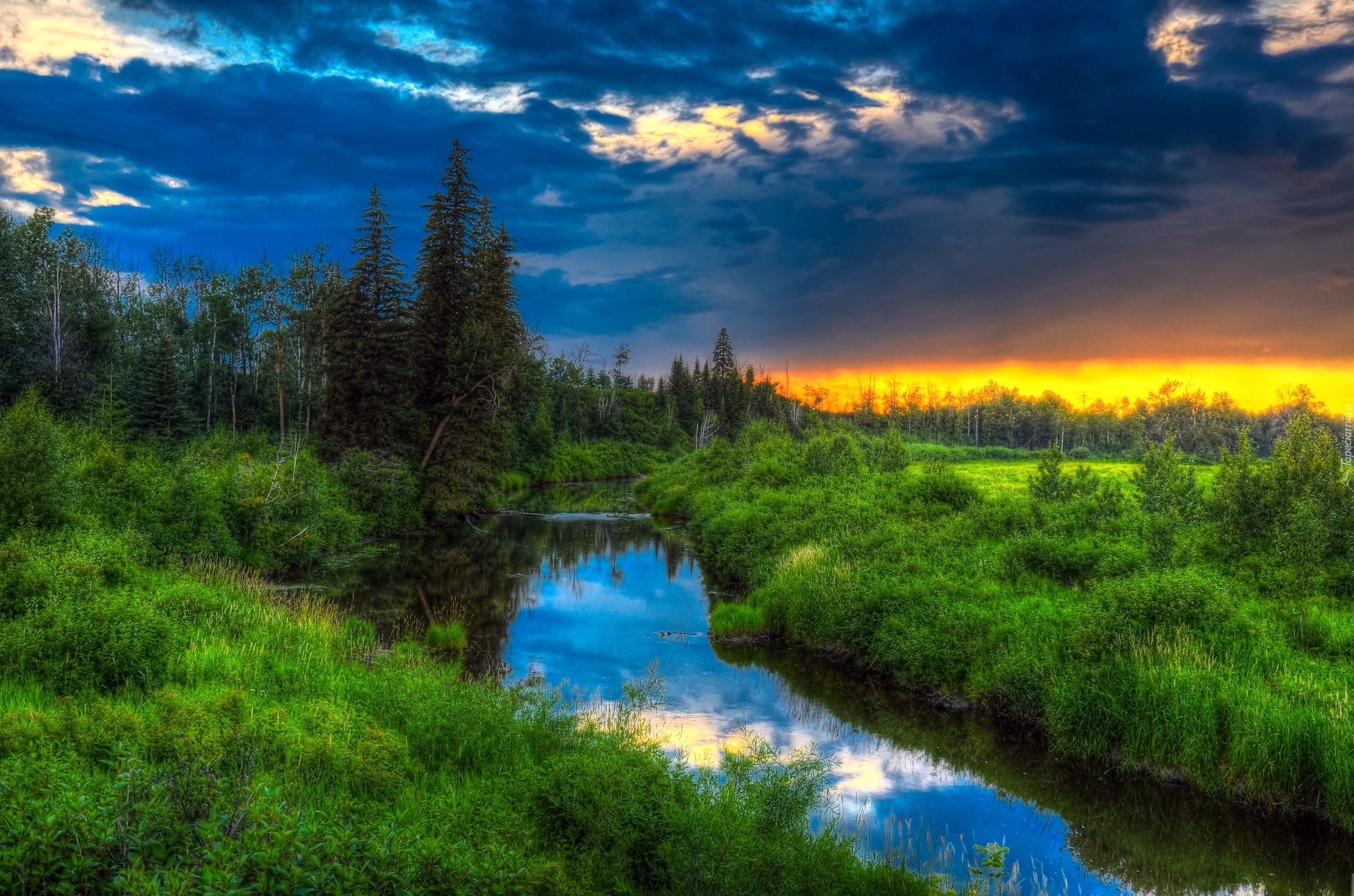 Rzeka, Las, Krzewy, Zachód Słońca, Alberta, Kanada
