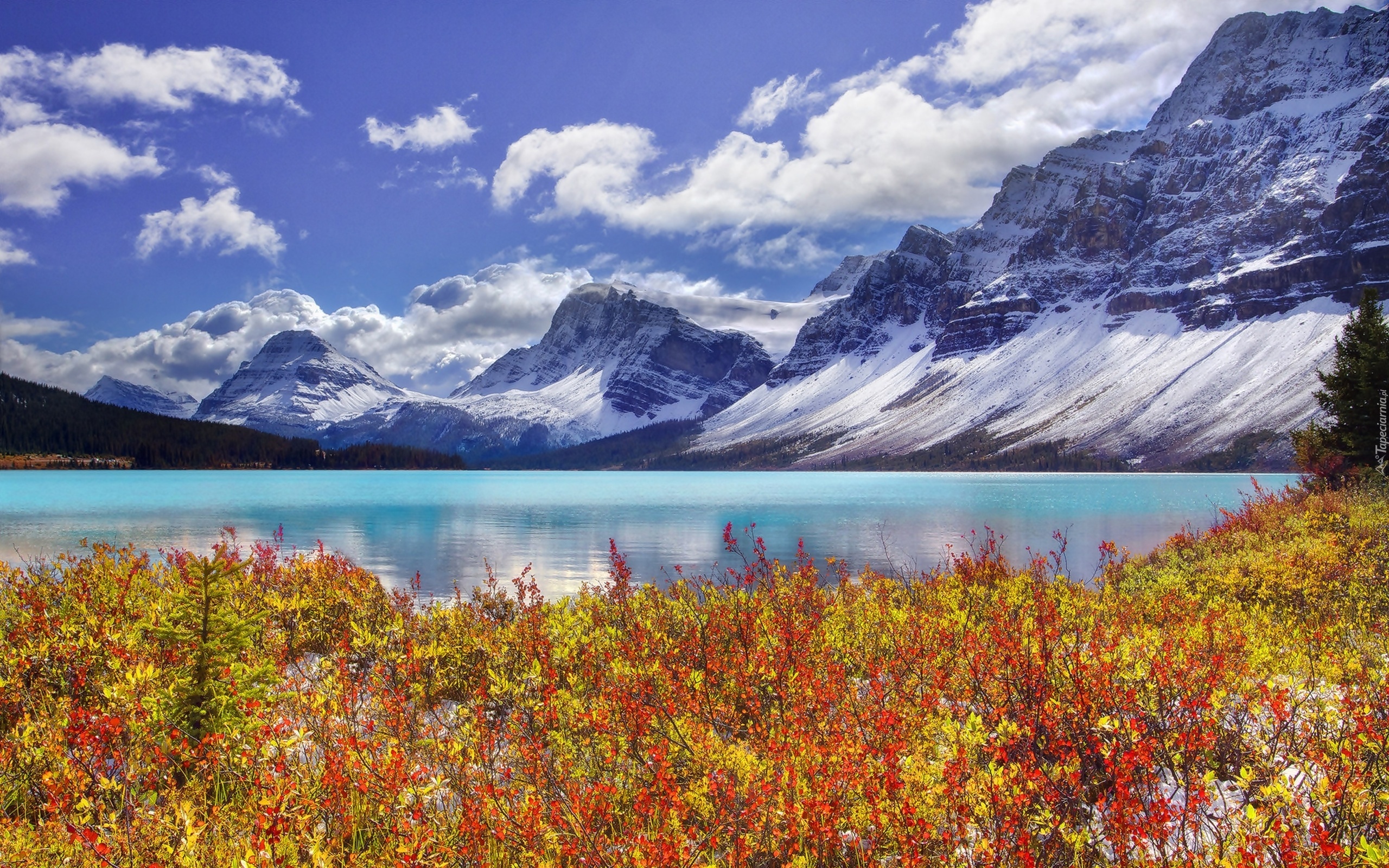 Kanada, Park Narodowy Banff, Jezioro Bow Lake, Góry
