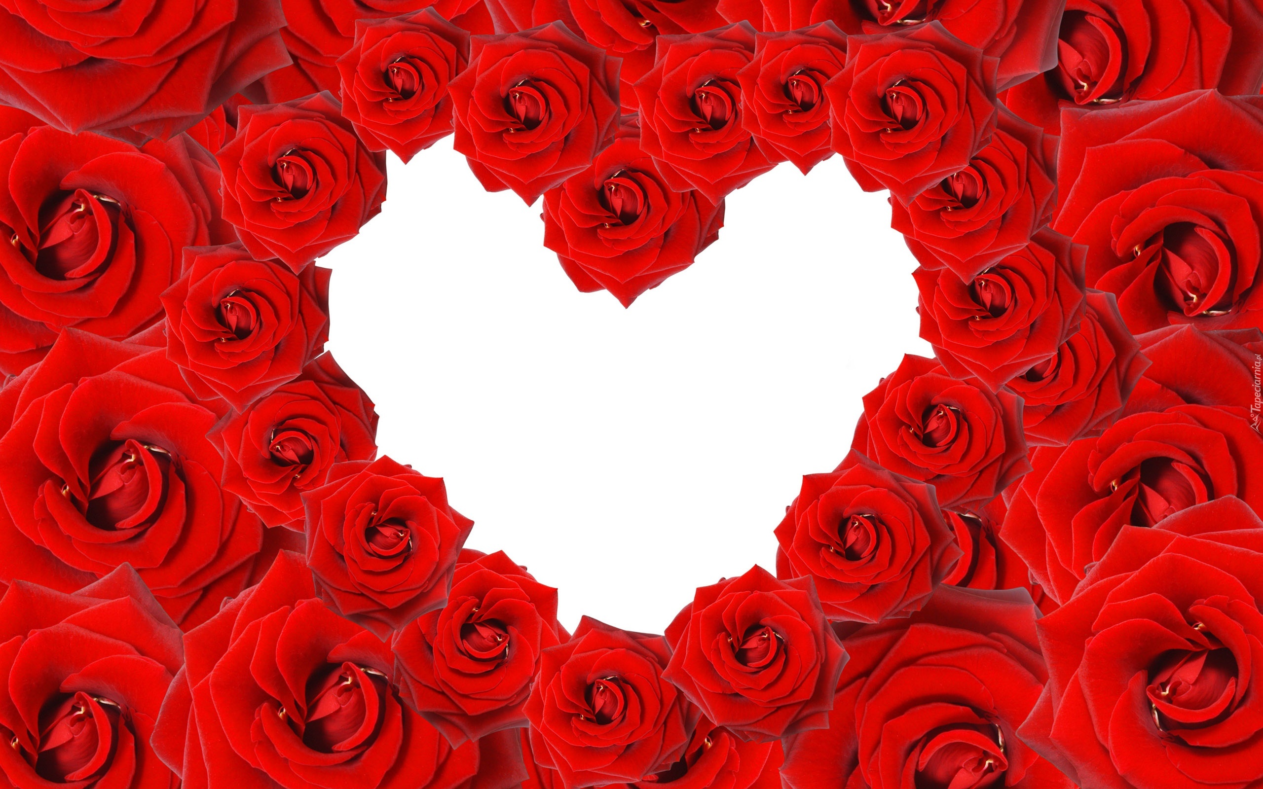Czerwone, Róże, Serce, Miłosne, Walentynka