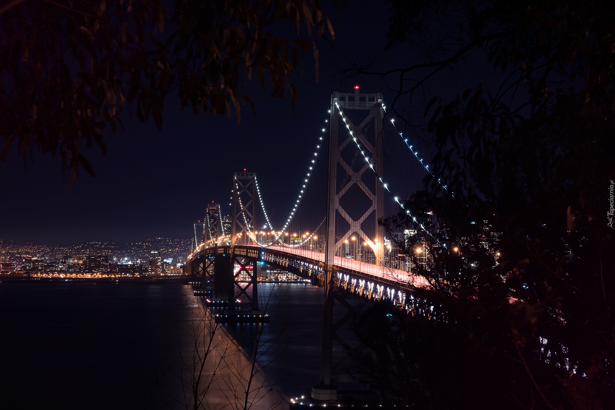 San Francisco, Oświetlony, Most Bay, Rzeka, Drzewa, Noc