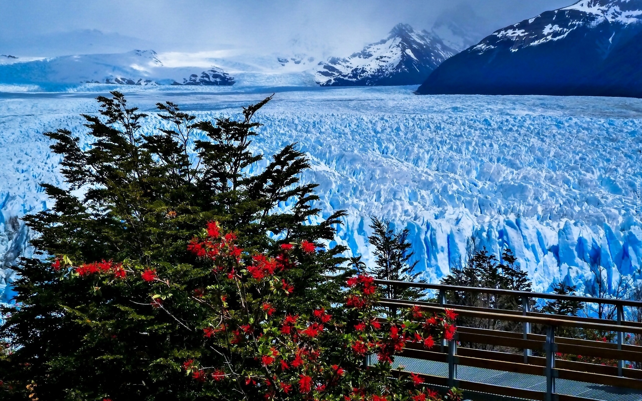 Zima, Lodowiec, Perito Moreno, Park Narodowy Los Glaciares, Prowincja Santa Cruz, Argentyna