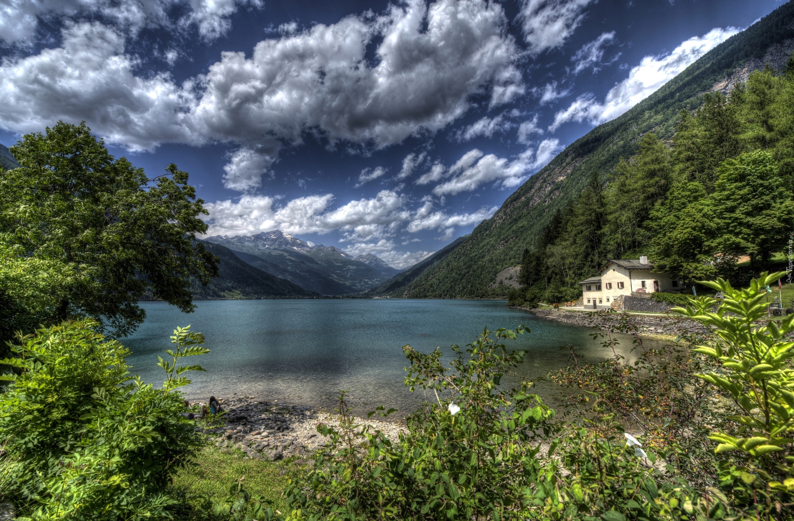 Szwajcaria, Góry, Jezioro, Chmura