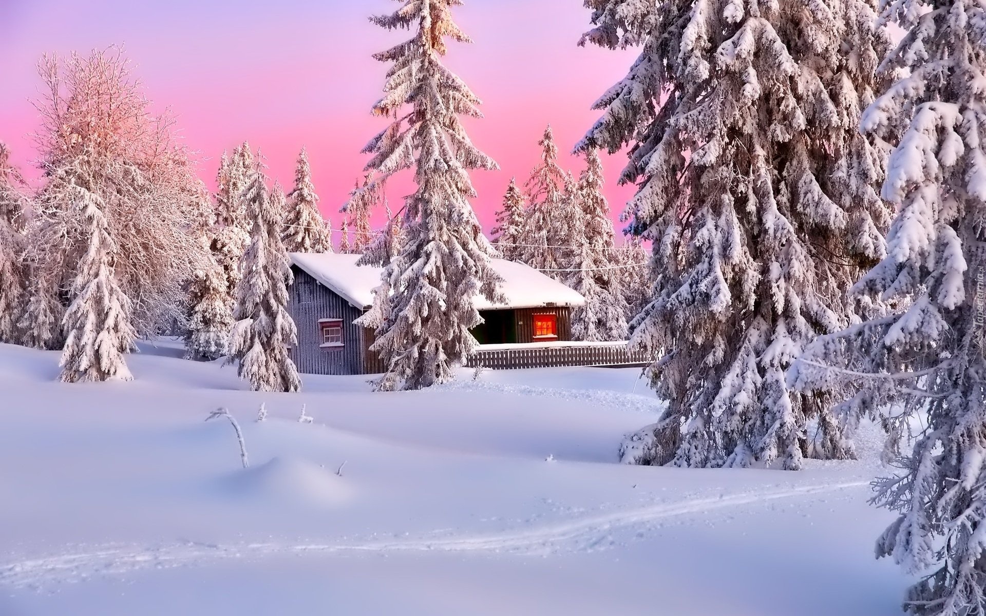 Zima, Dom, Ośnieżone Drzewa