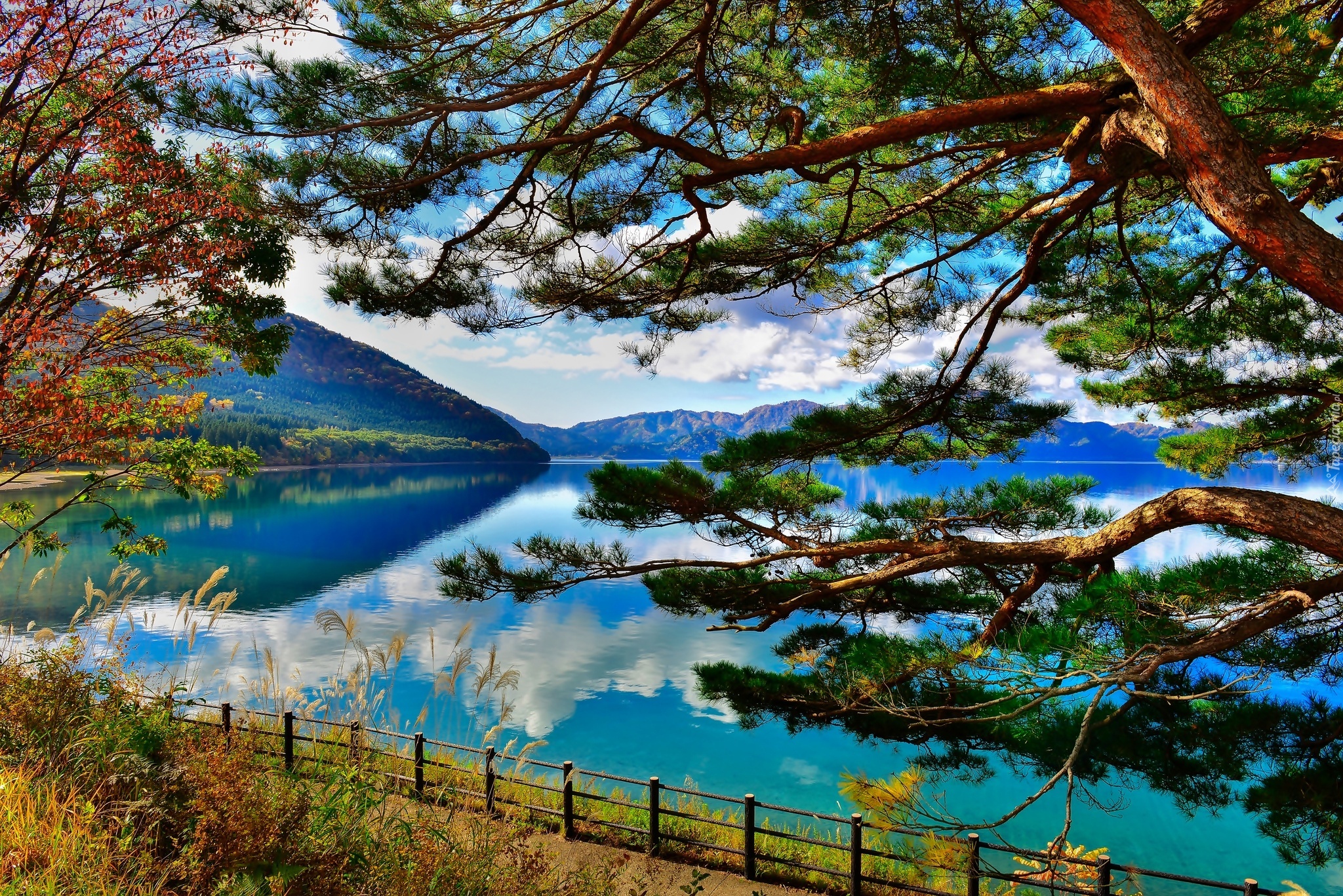 Góry, Jezioro, Tazawa Lake, Drzewa, Akita, Japonia