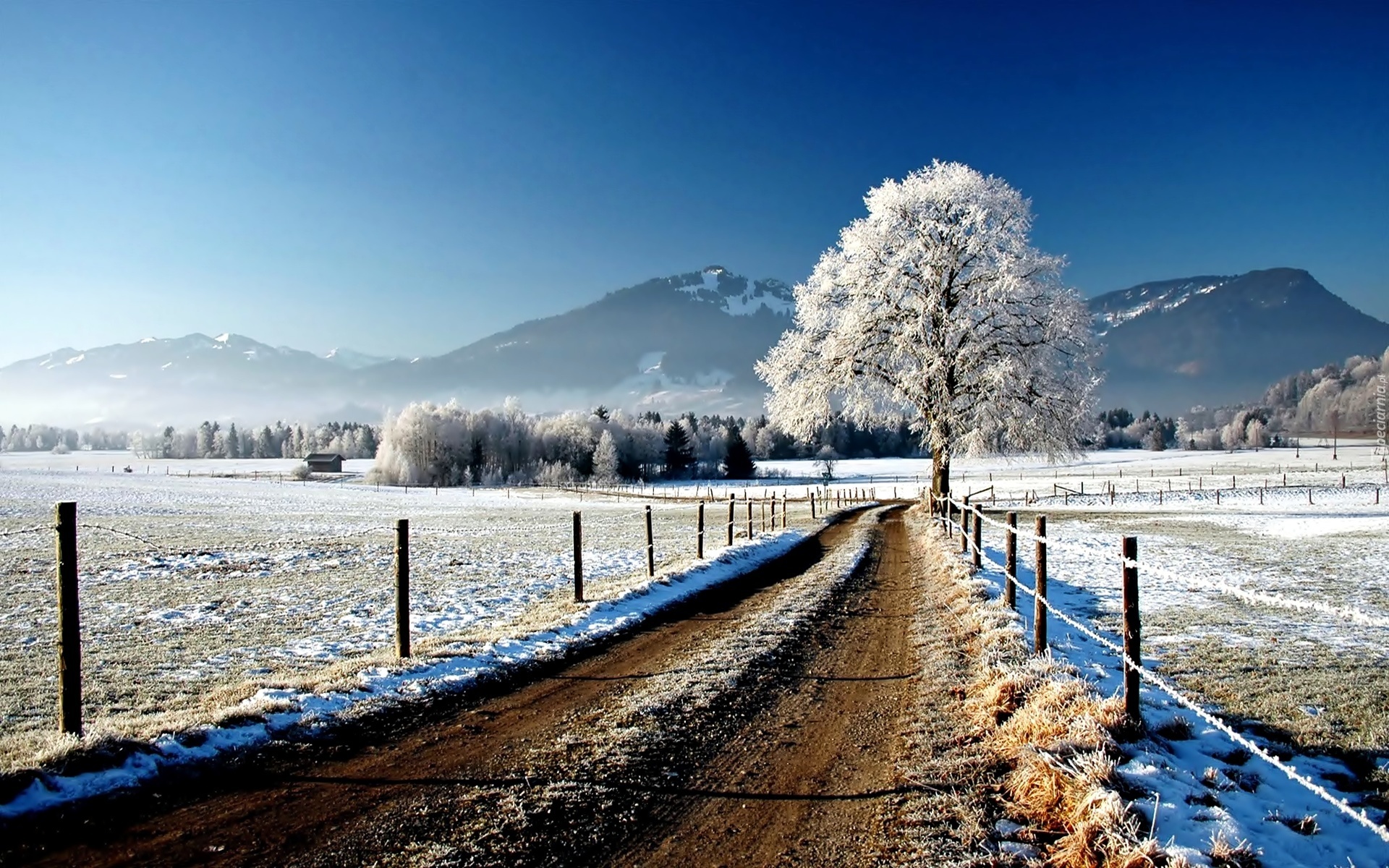 Zima, Droga, Góry, Drzewa, Śnieg, Szron