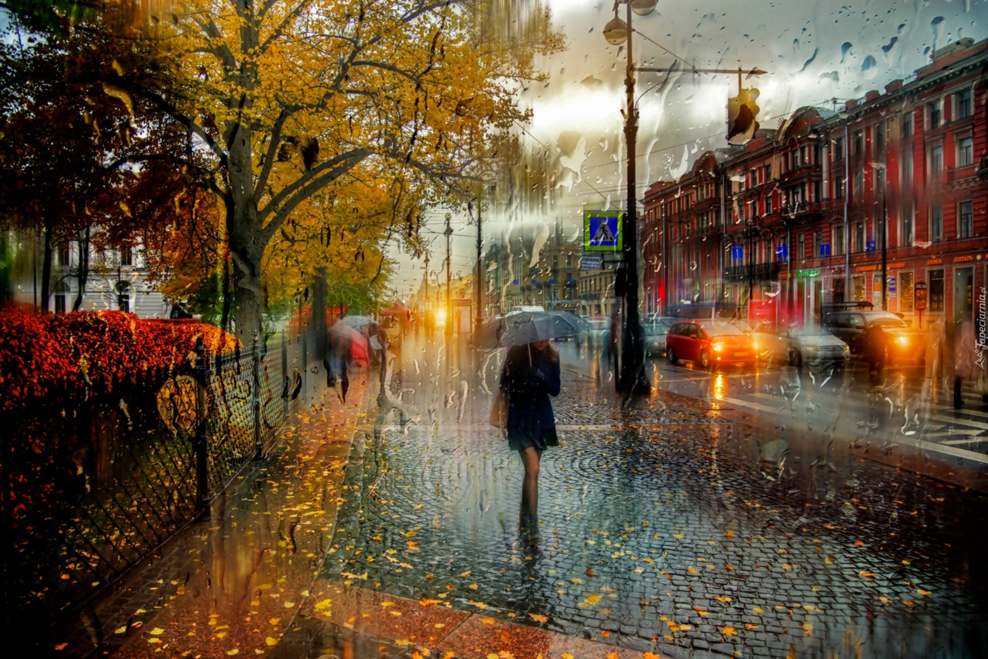 Jesień, Kobieta, Parasol,Miasto, Deszcz, Liście