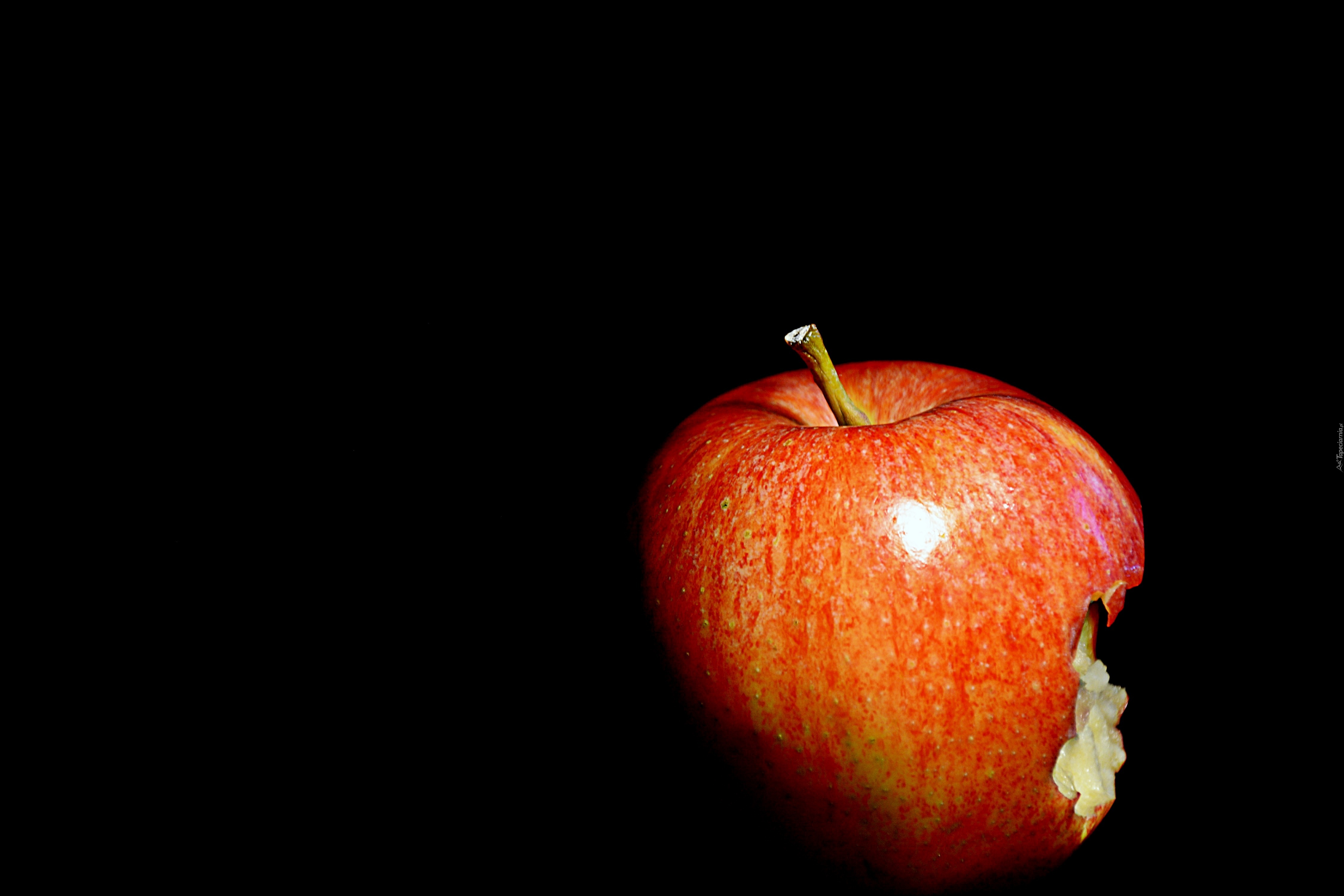 Jabłko, Apple