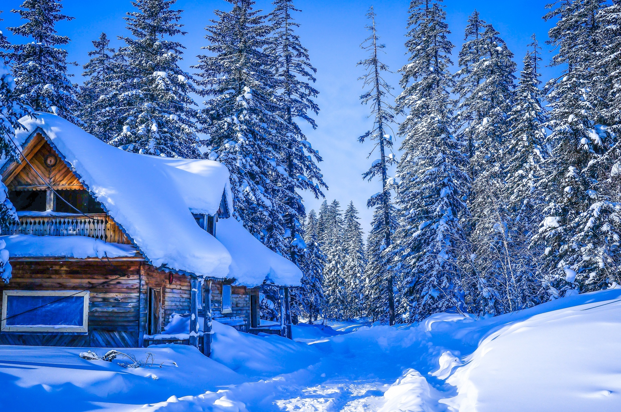 Zima, Dom, Ośnieżone, Drzewa, Śnieg