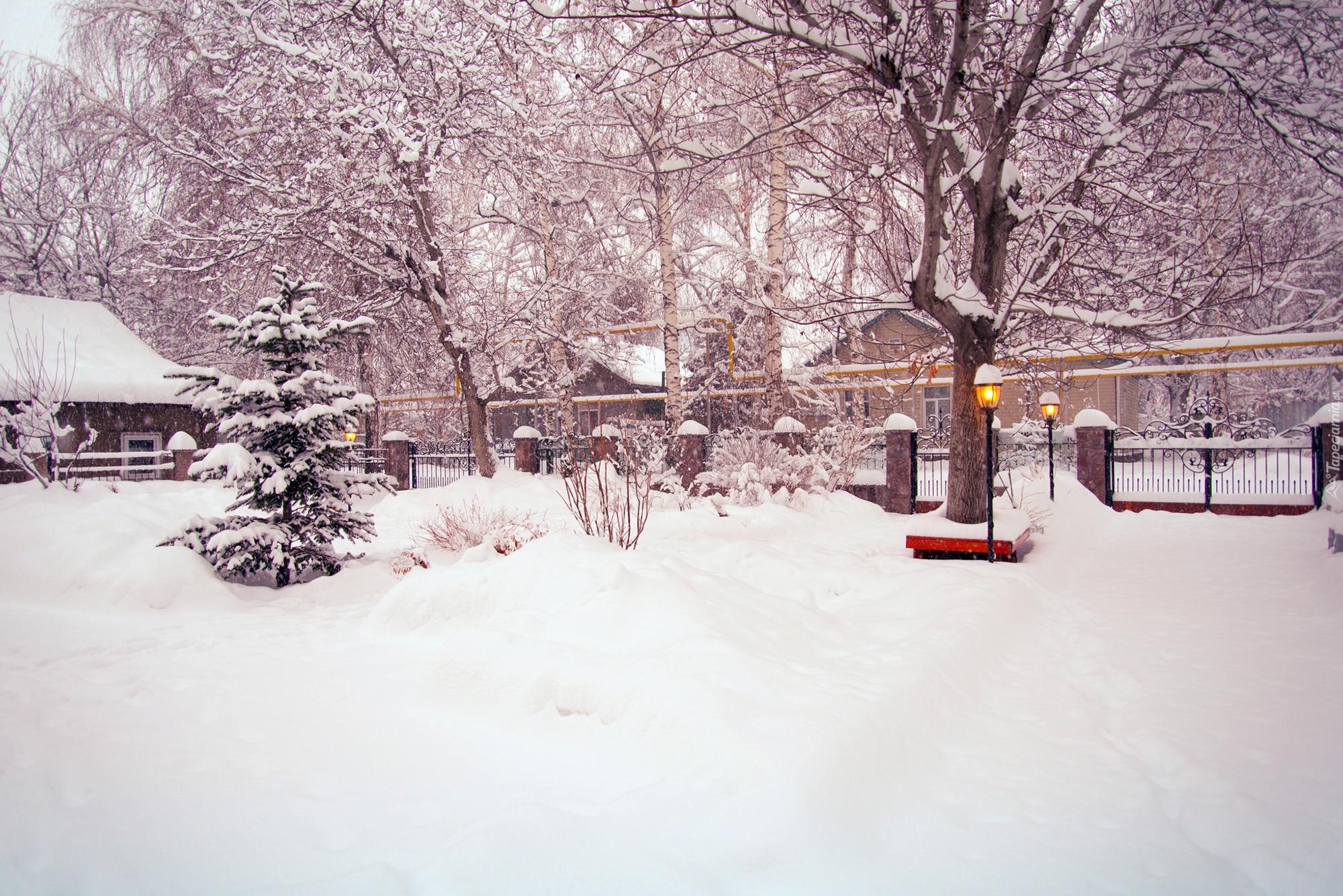 Zima, Śnieg, Domy, Drzewa