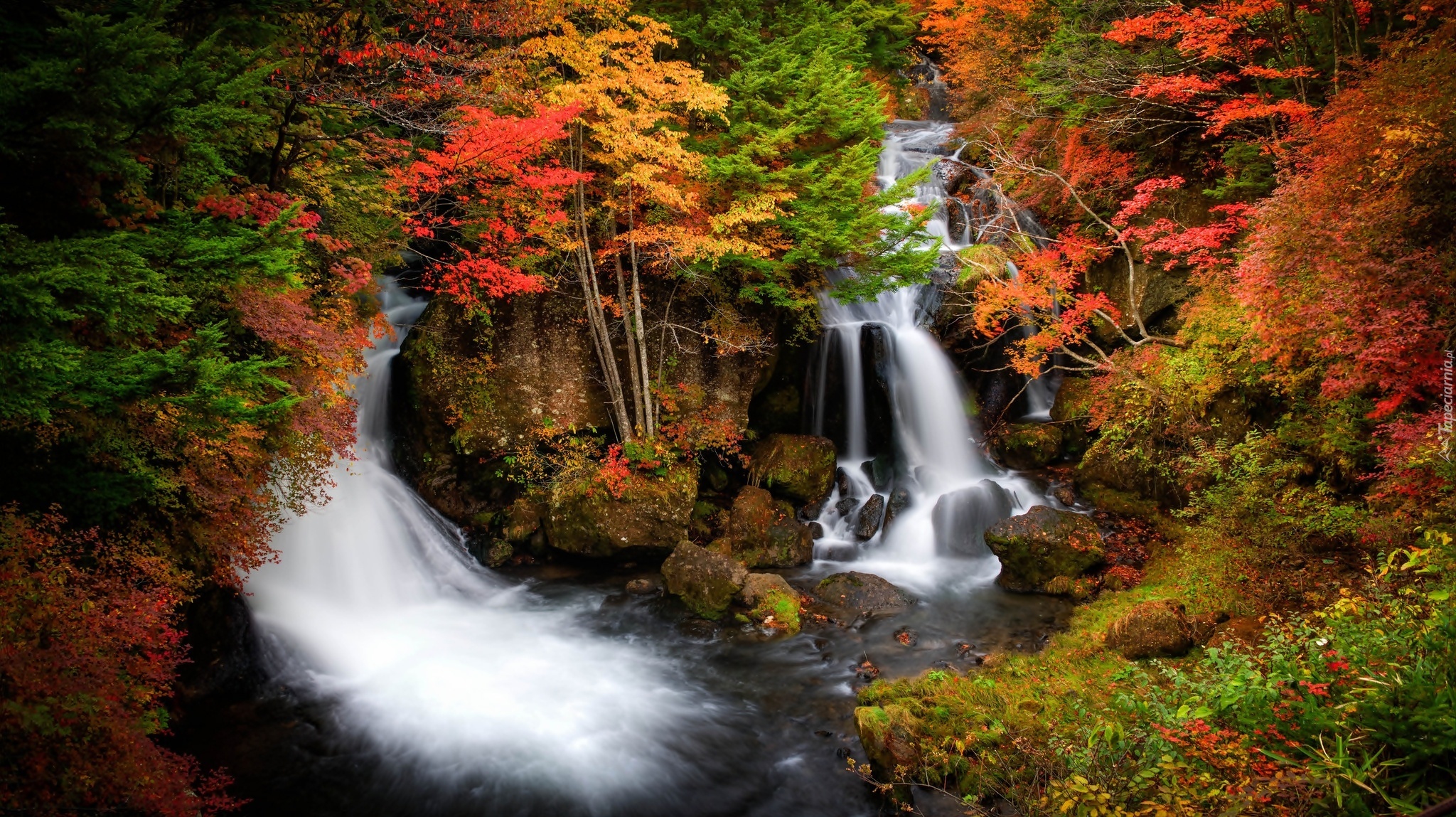 Jesień, Las, Wodospad, Ryuzu, Japonia