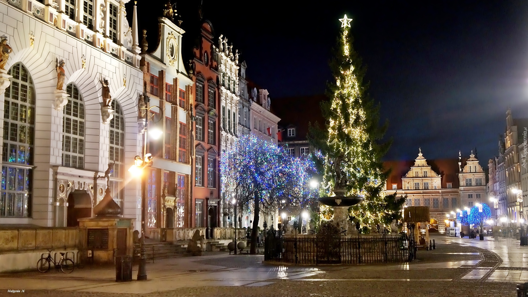 Miasto, Gdańsk, Noc, Choinka, Świąteczne