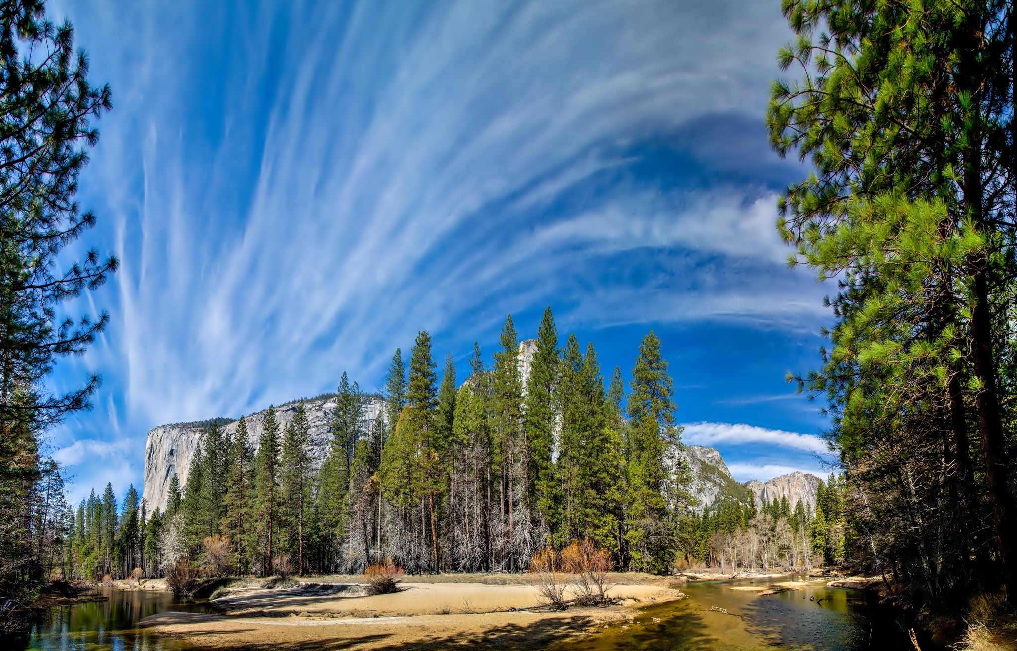 Stany Zjednoczone, Stan Kalifornia, Park Narodowy Yosemite, Drzewa, Niebo, Góry