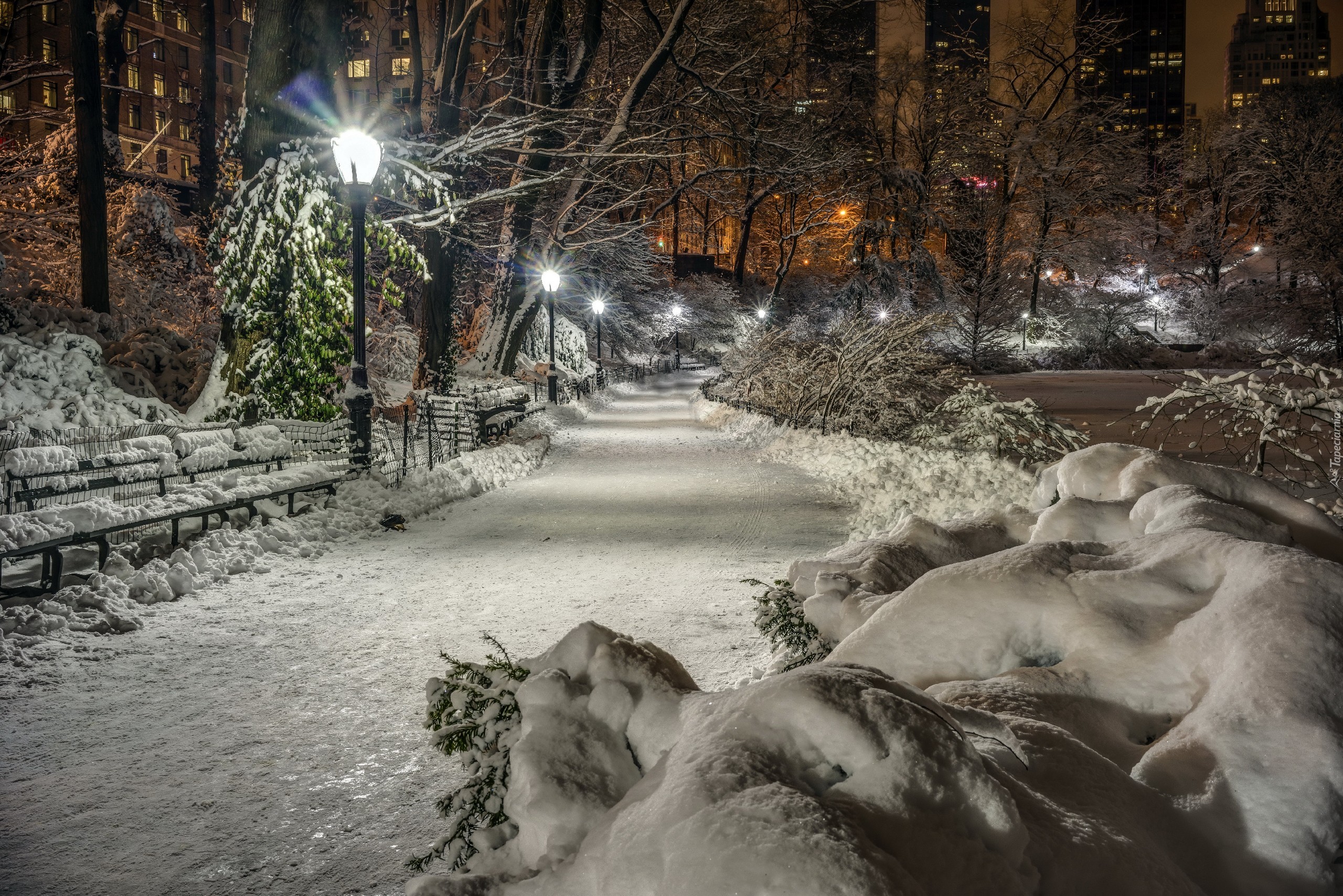 Central Park, Nowy Jork, Zima, USA