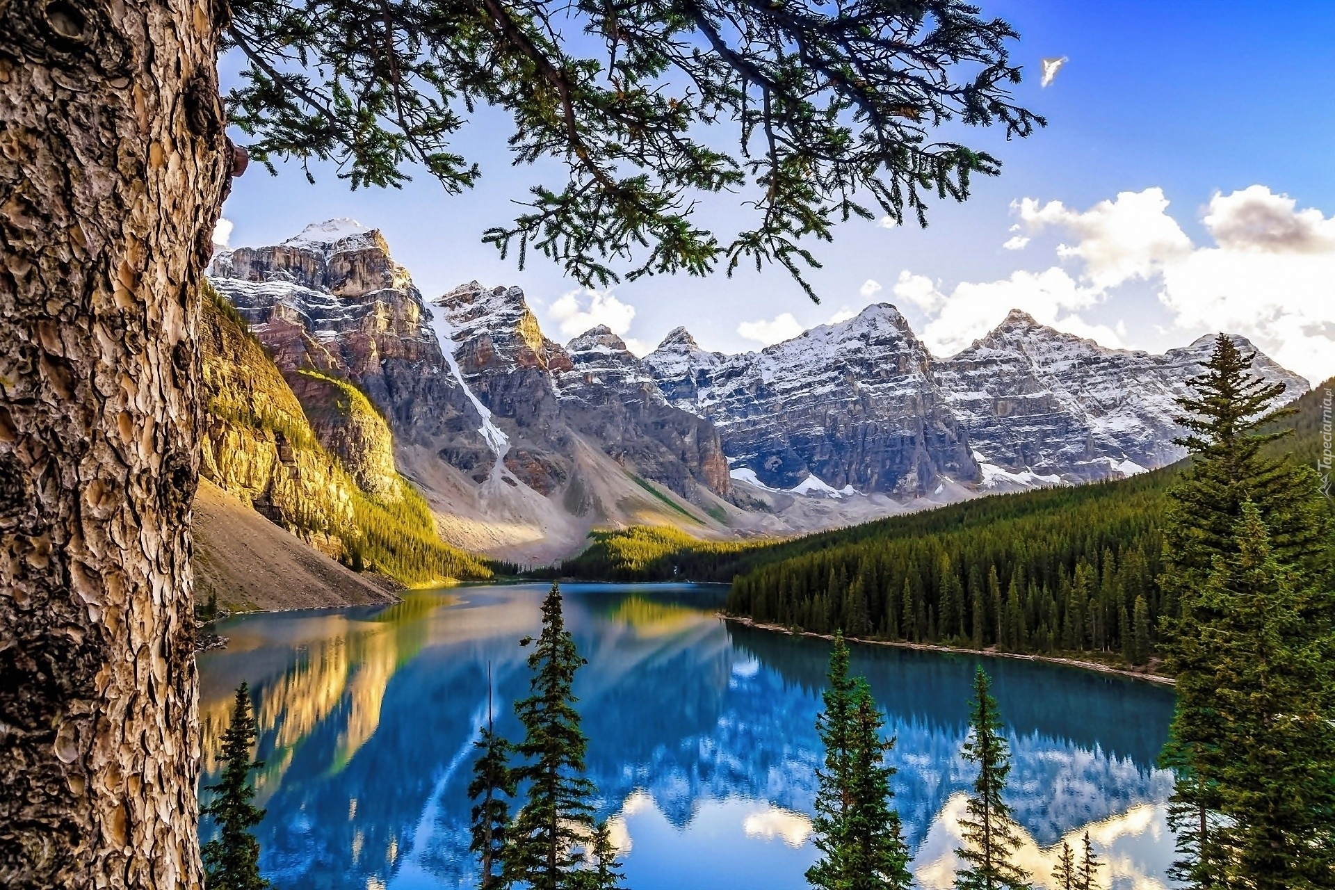 Góry, Jezioro, Las, Alberta, Kanada